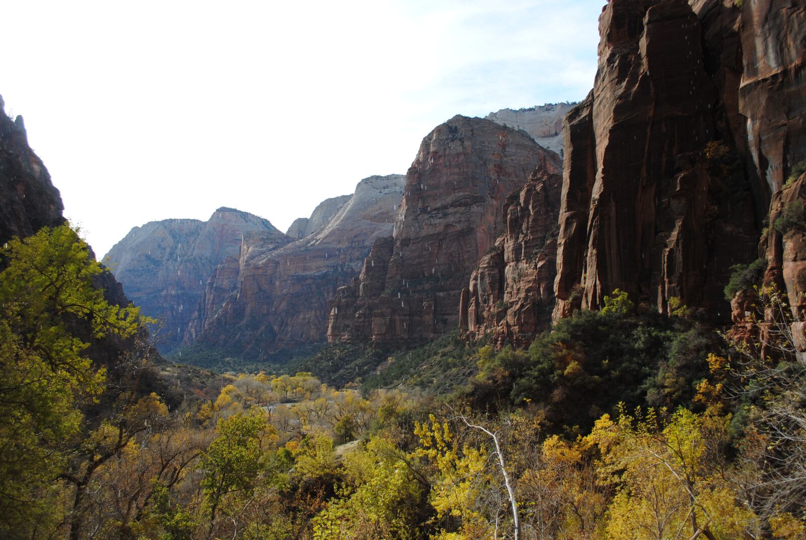Nikon D3000 sample photo. St george, zion, canyon photography