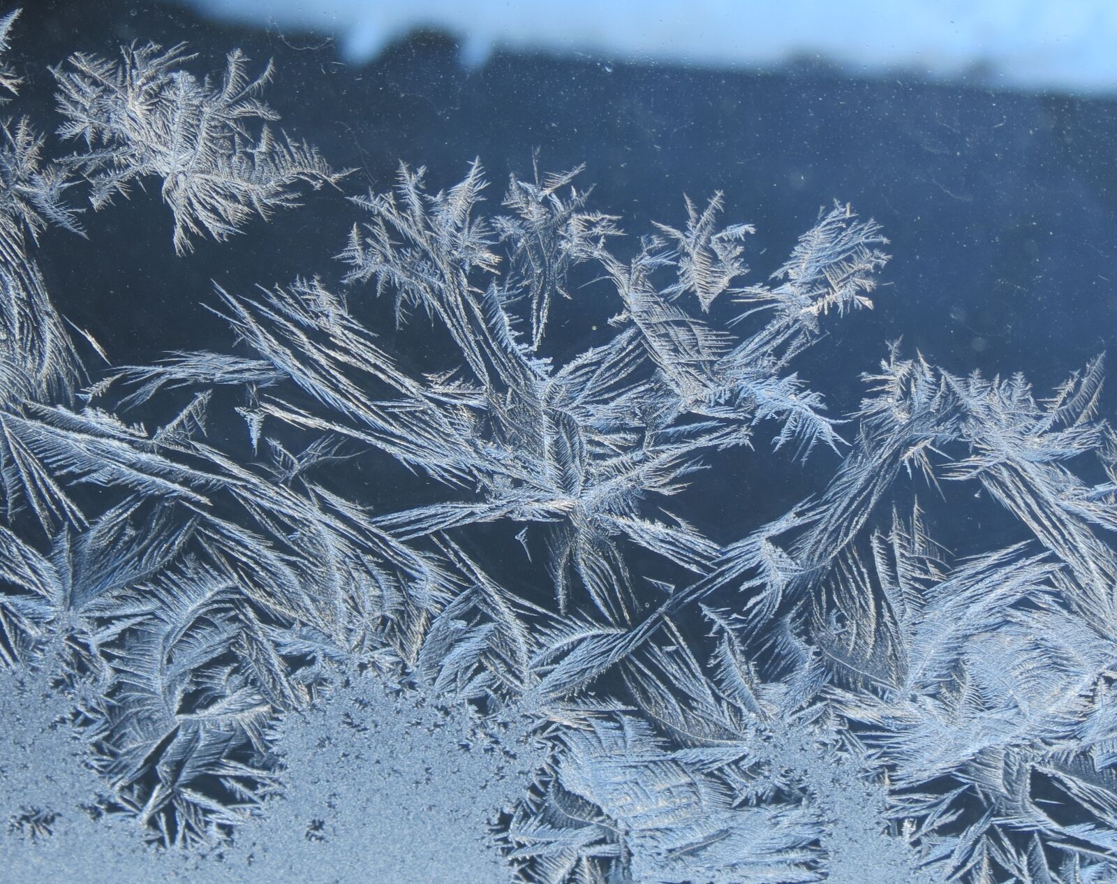 Canon PowerShot SX40 HS sample photo. Frost, window, winter photography