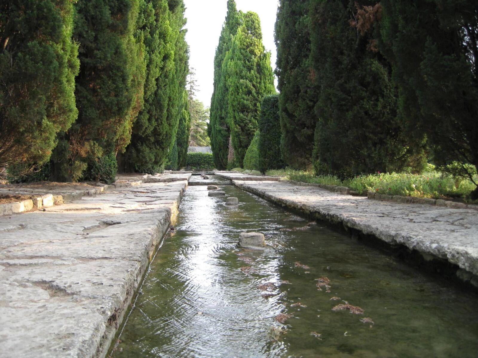 Canon PowerShot SD1100 IS (Digital IXUS 80 IS / IXY Digital 20 IS) sample photo. Water, river, tree, national photography