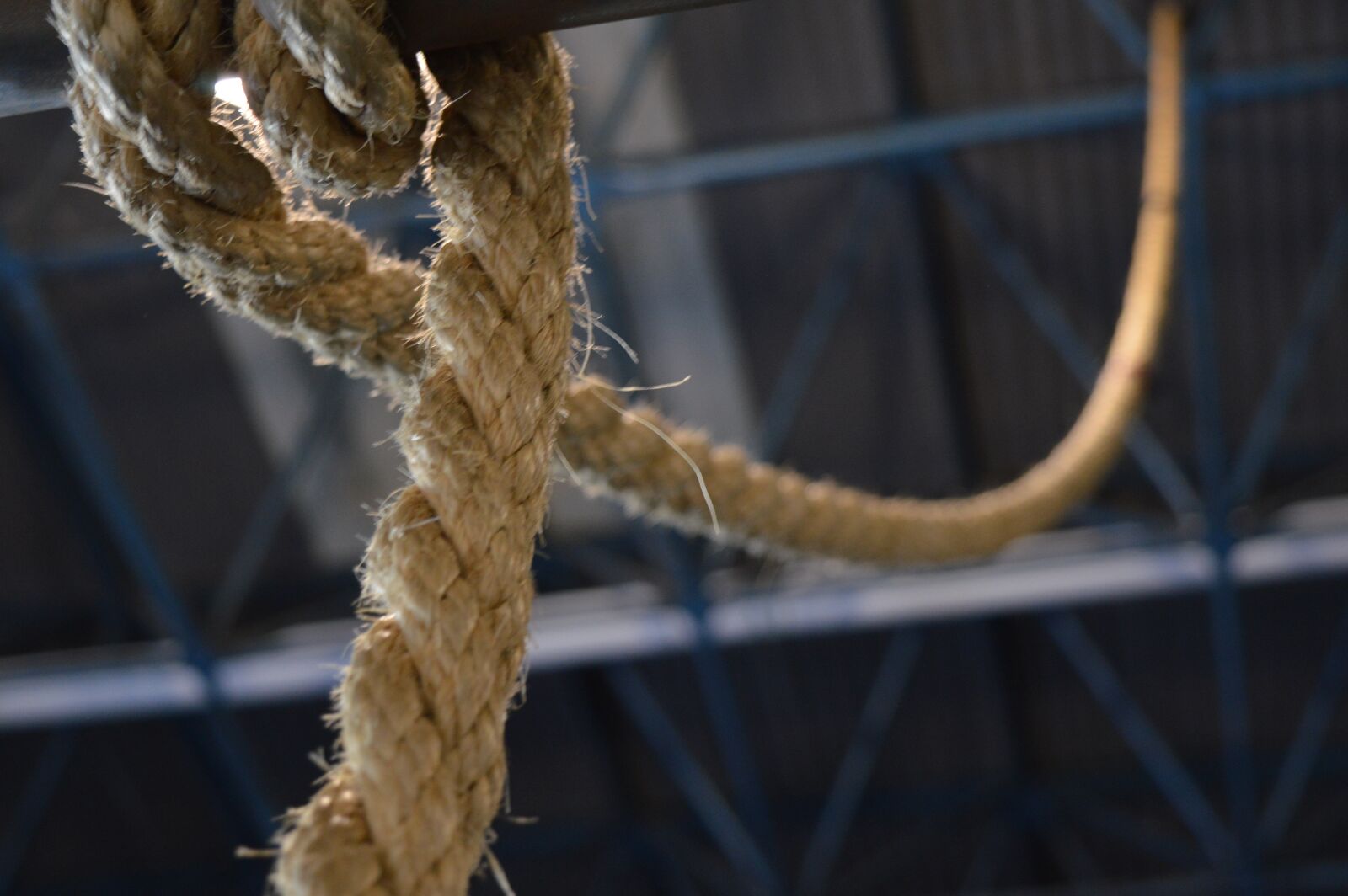 Nikon D3200 sample photo. Rope, gym, training photography
