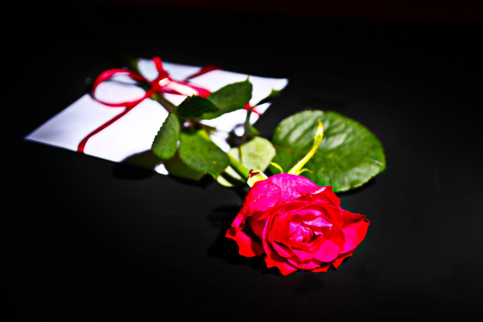 Canon EOS 1000D (EOS Digital Rebel XS / EOS Kiss F) sample photo. Rose, letters, love letter photography