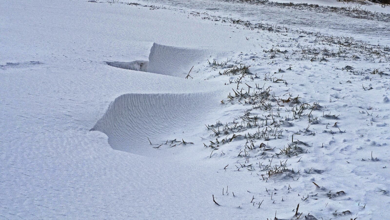 Nikon D5100 sample photo. Snow, cold, winter photography