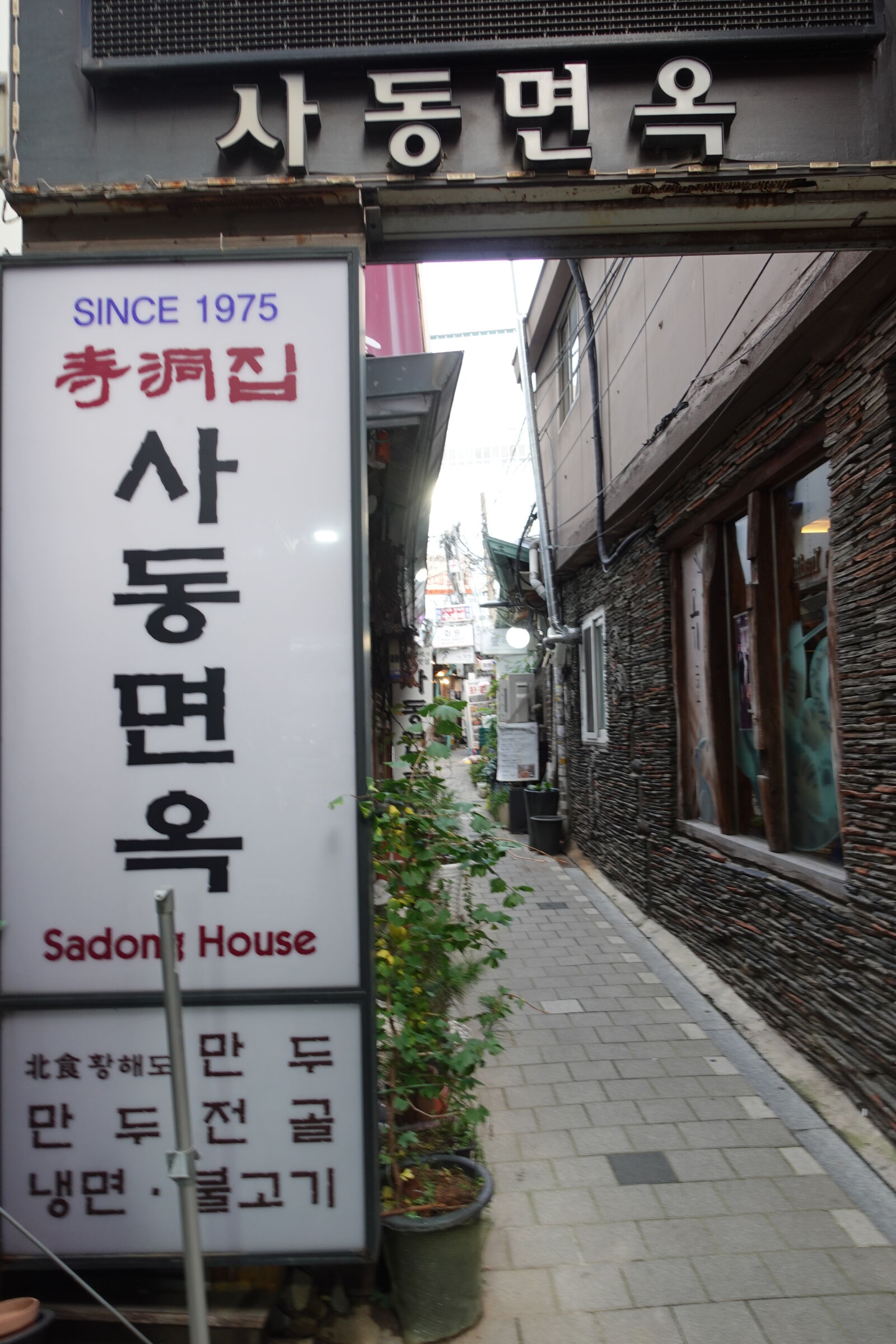 Sony ZV-1 sample photo