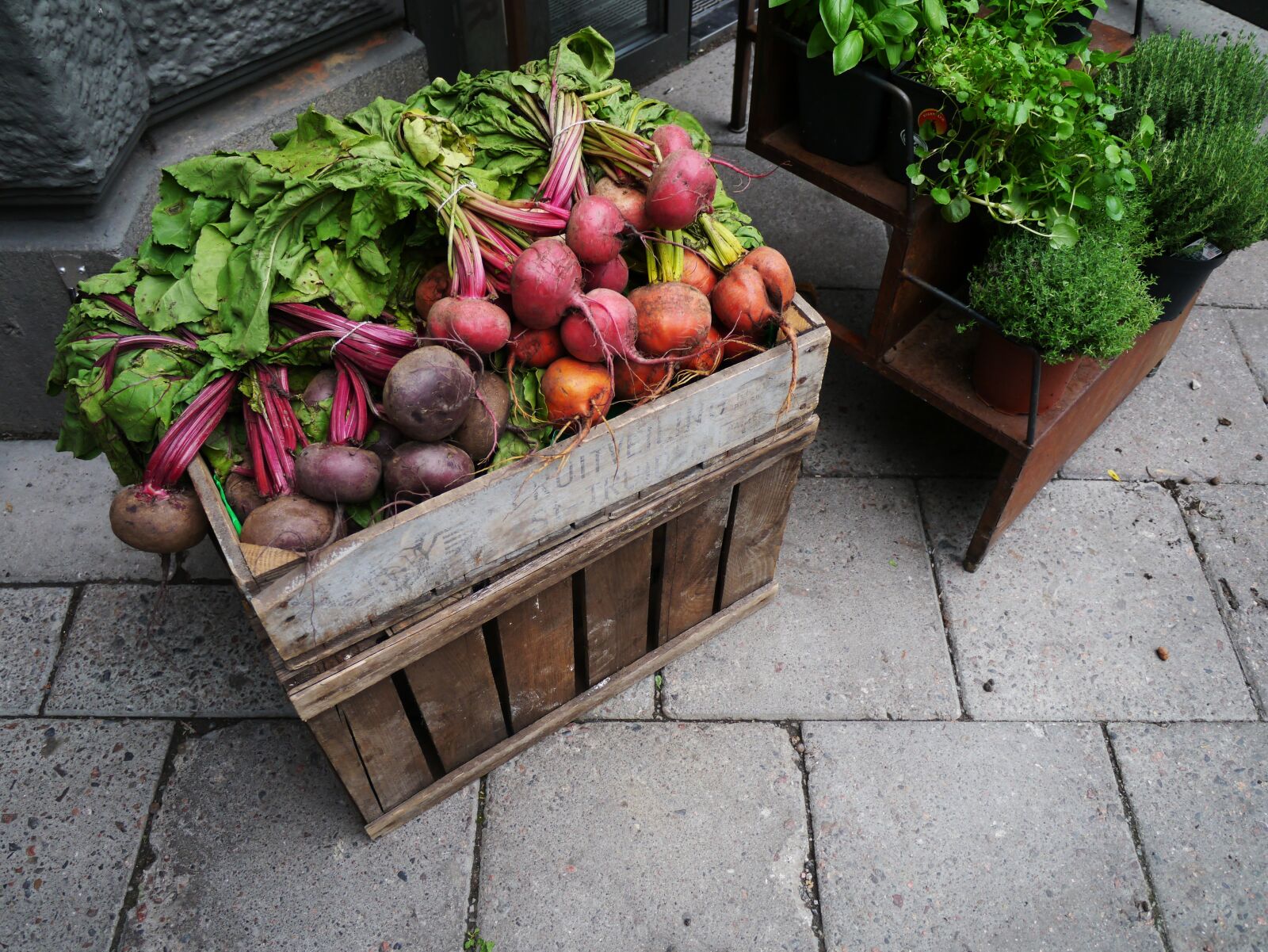 Panasonic Lumix DMC-GX1 sample photo. Vegetables, radishes, food photography