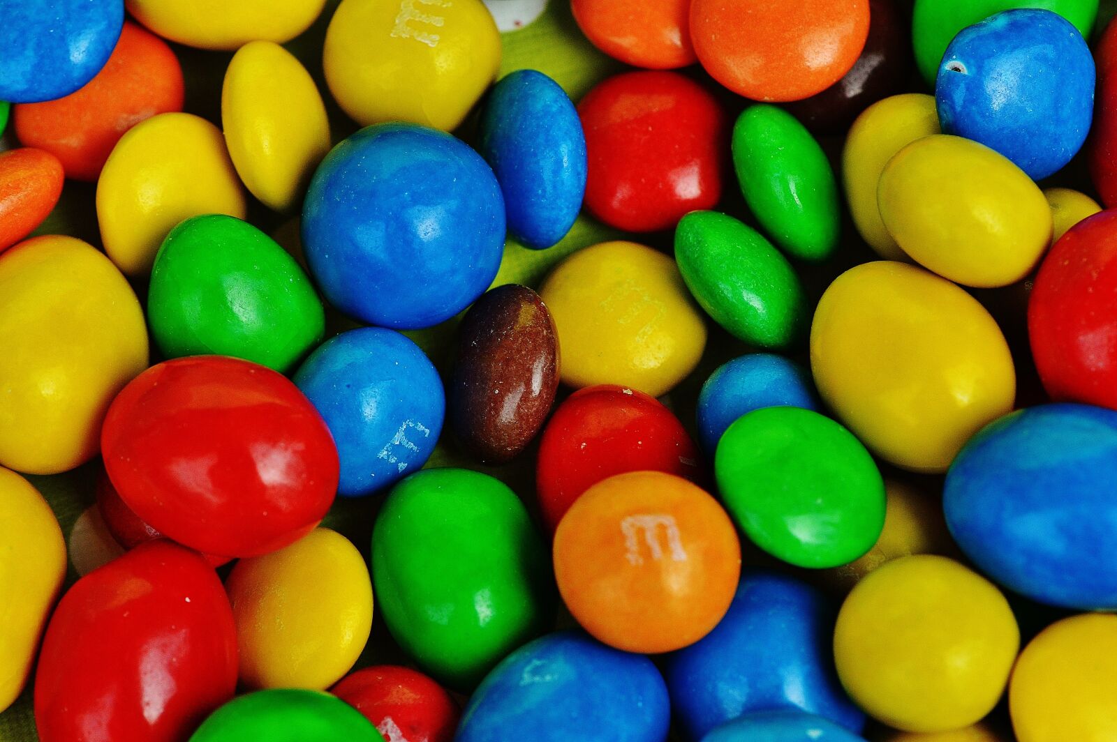 Nikon D3200 sample photo. M and m, sweetness photography