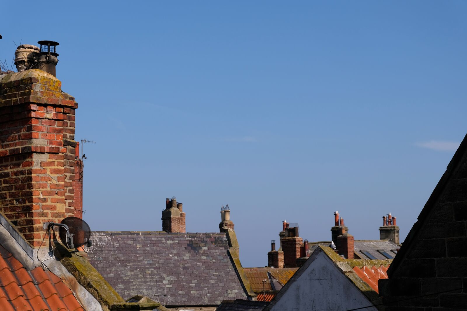 Fujifilm X-T20 sample photo. Roofs, seagulls, roofscape photography