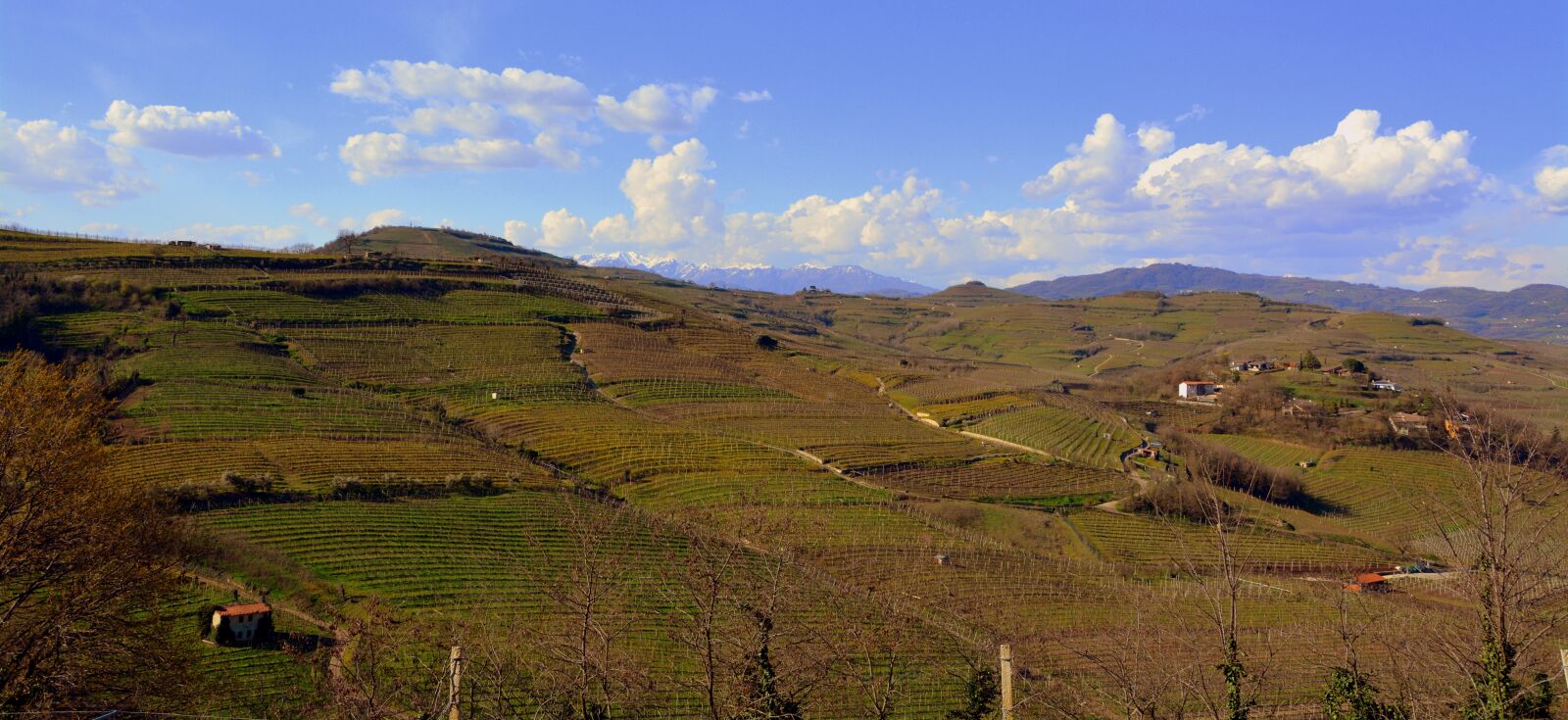 Nikon D7100 sample photo. Vineyard, hill, nature photography