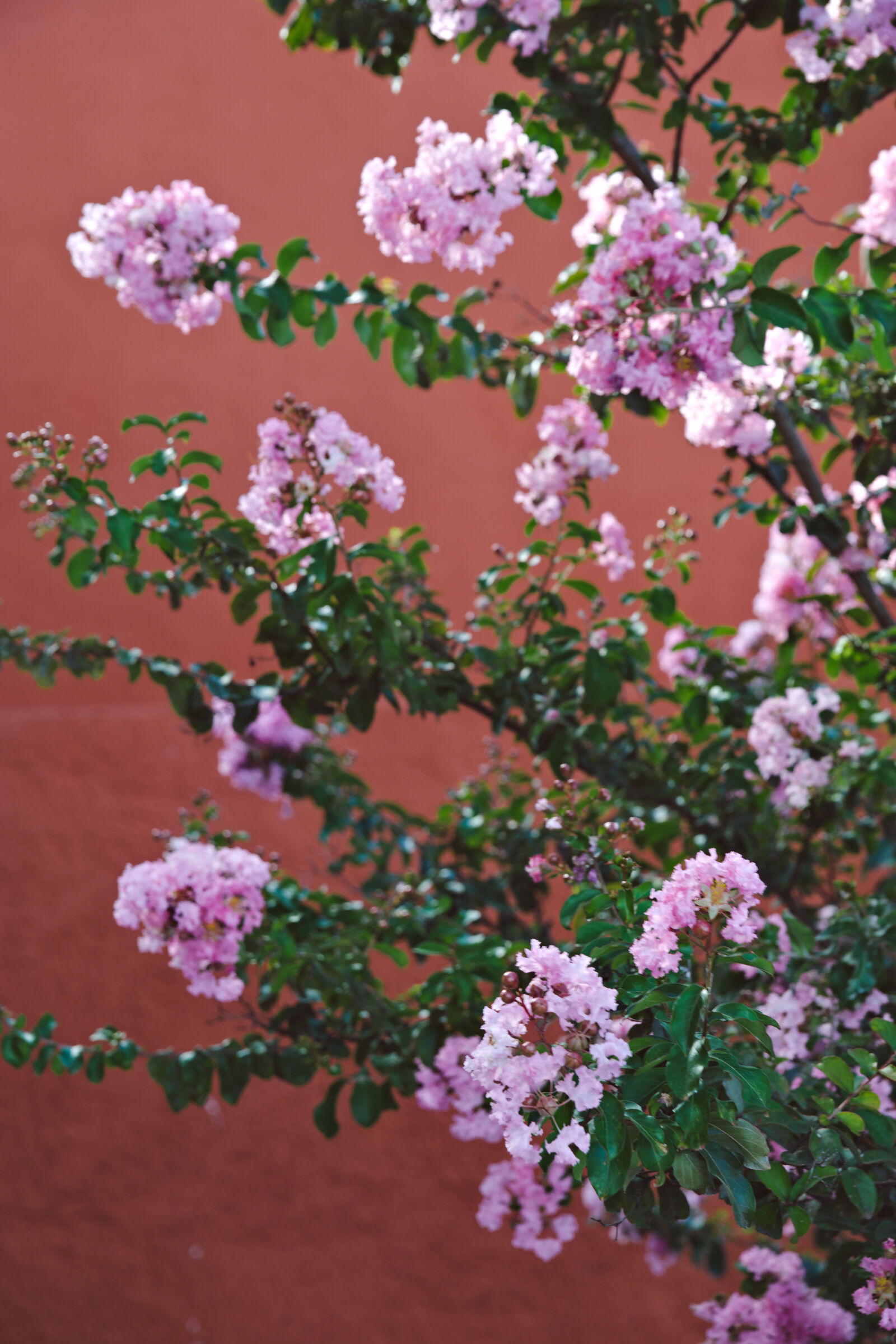 Nikon D610 sample photo