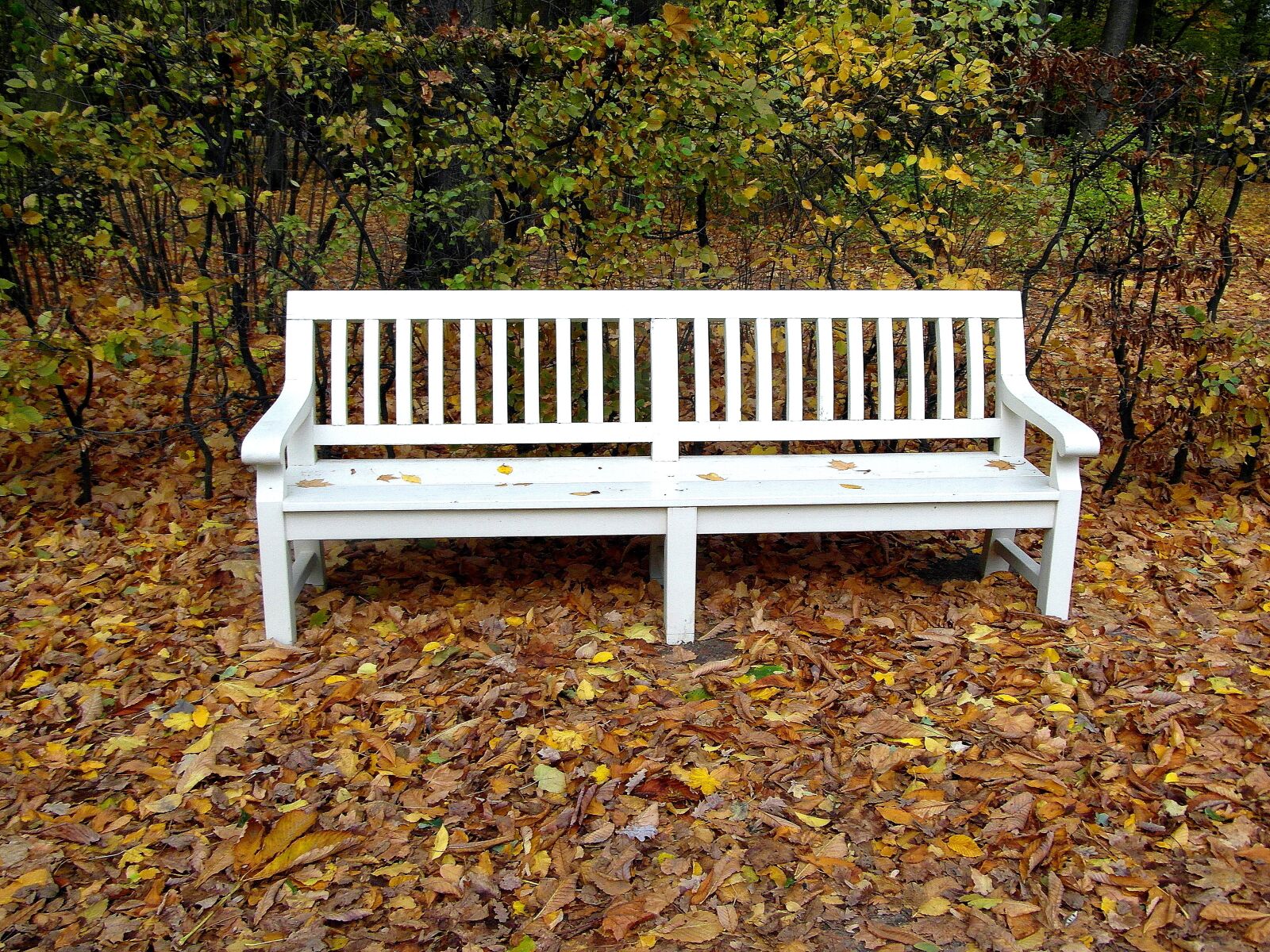 Samsung WB750 sample photo. Bench, white, park photography