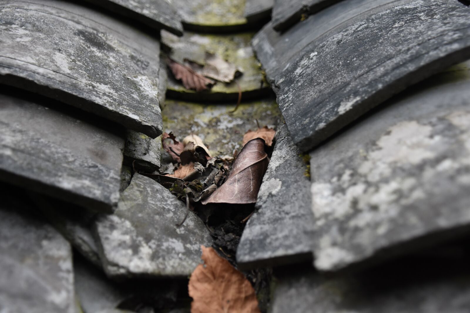 Nikon D7200 sample photo. Brick sheet, tiles, defoliation photography