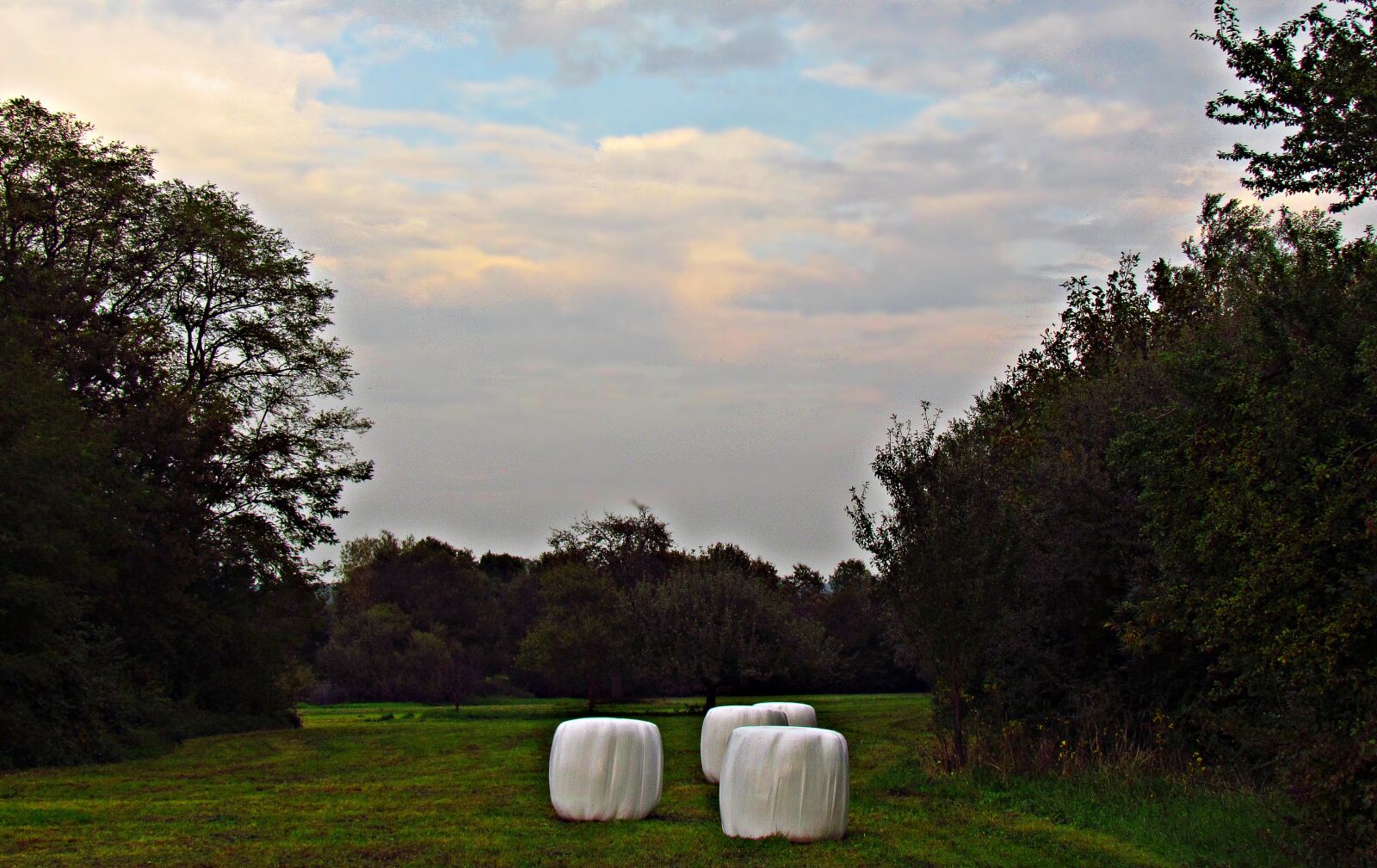 Canon PowerShot SX30 IS sample photo. Field, meadow, landscape photography