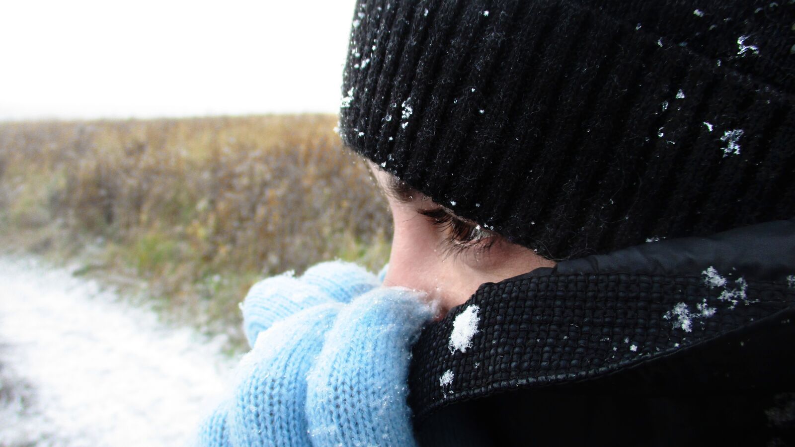 Canon IXUS 185 sample photo. Snow, frost, eye photography