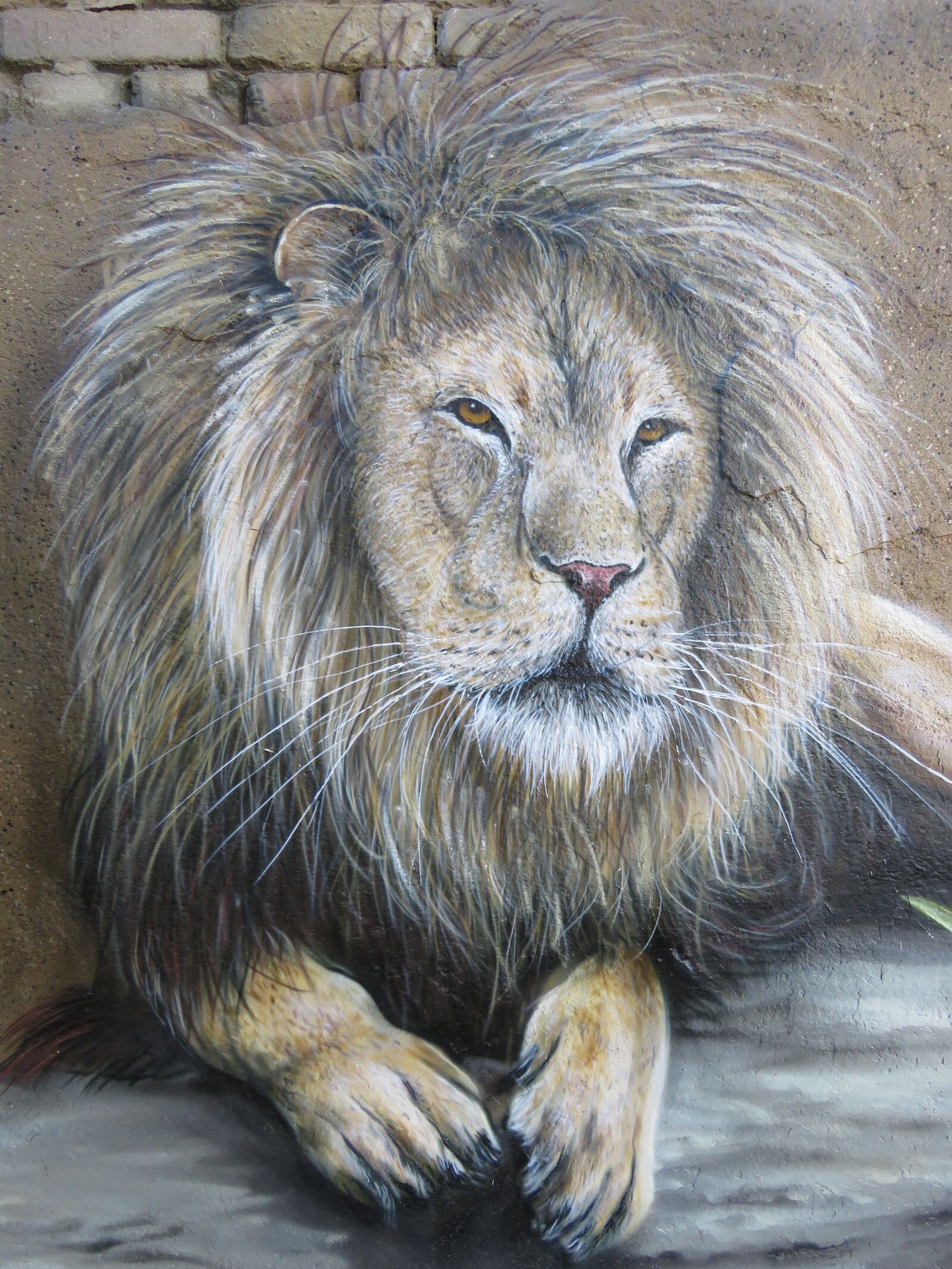 Canon PowerShot SX60 HS sample photo. Lion, wall art, wall photography