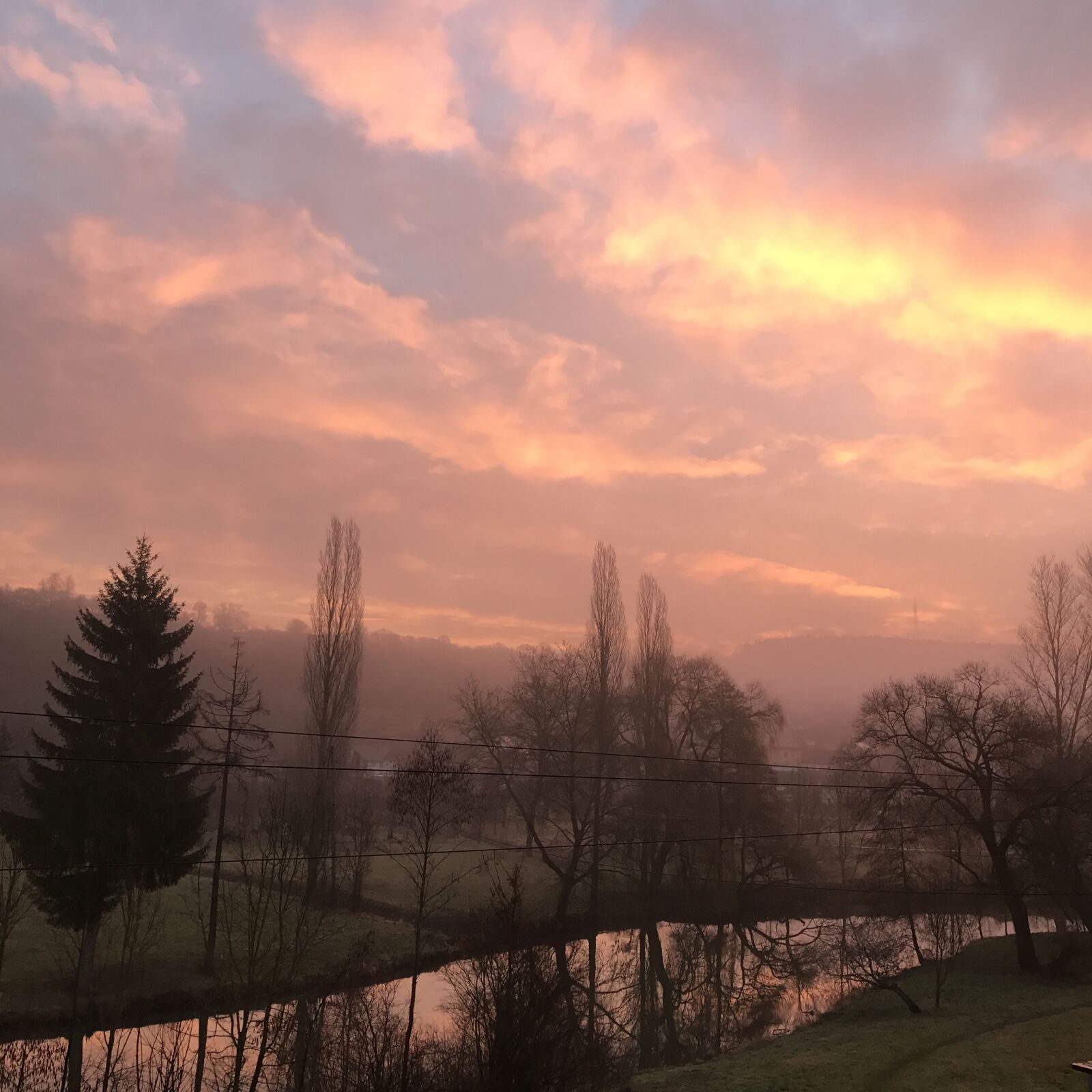 iPhone 7 back camera 3.99mm f/1.8 sample photo. Fog, trees, landscape photography