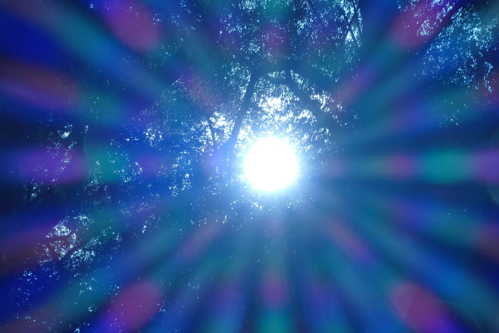 Panasonic Lumix DMC-FZ1000 sample photo. Sun, rays, nature photography