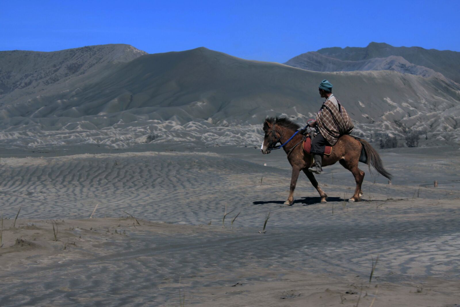 Canon EOS 50D sample photo. Horse, sand, ride photography