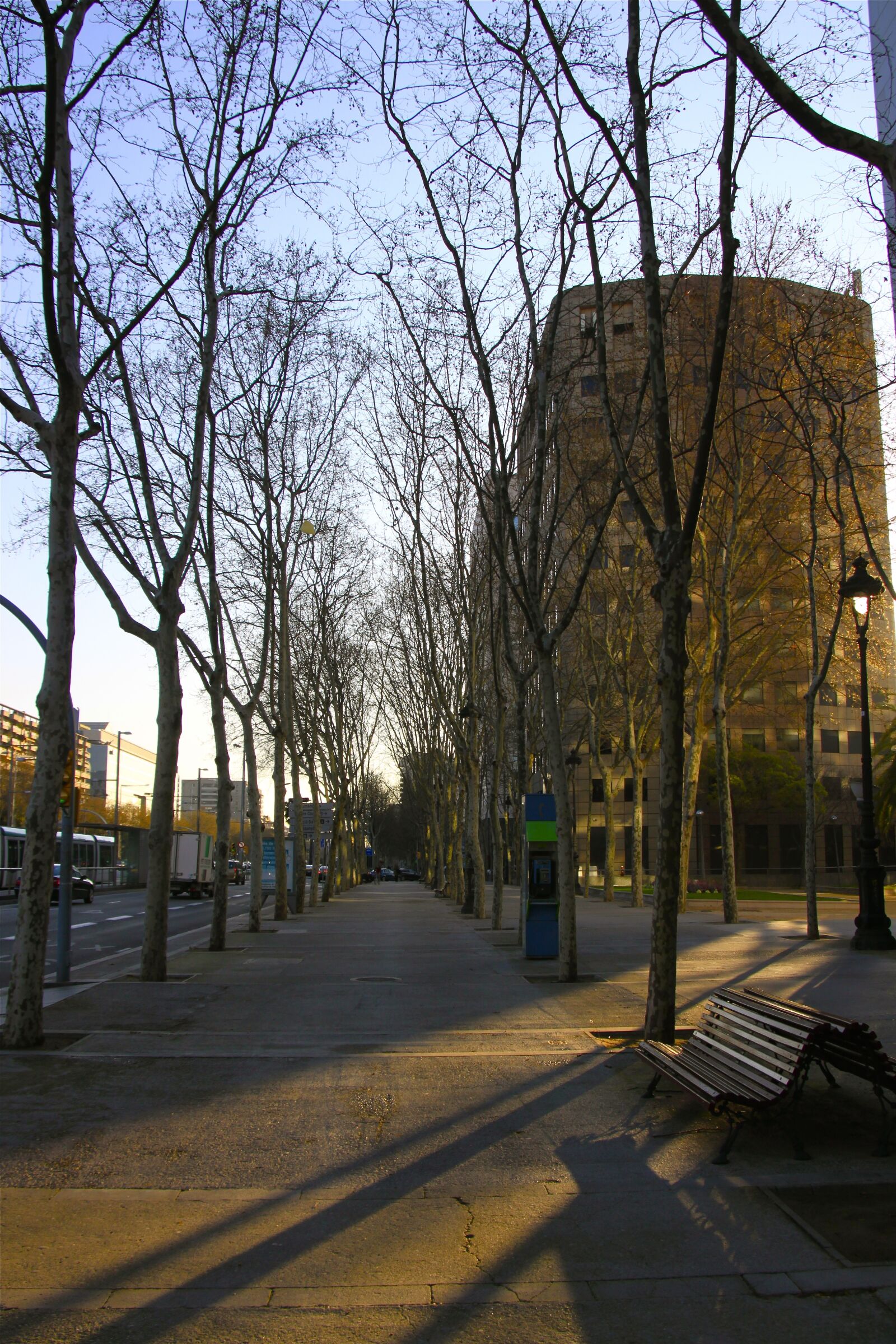 Canon EOS 500D (EOS Rebel T1i / EOS Kiss X3) sample photo. Street, spain, barcelona photography