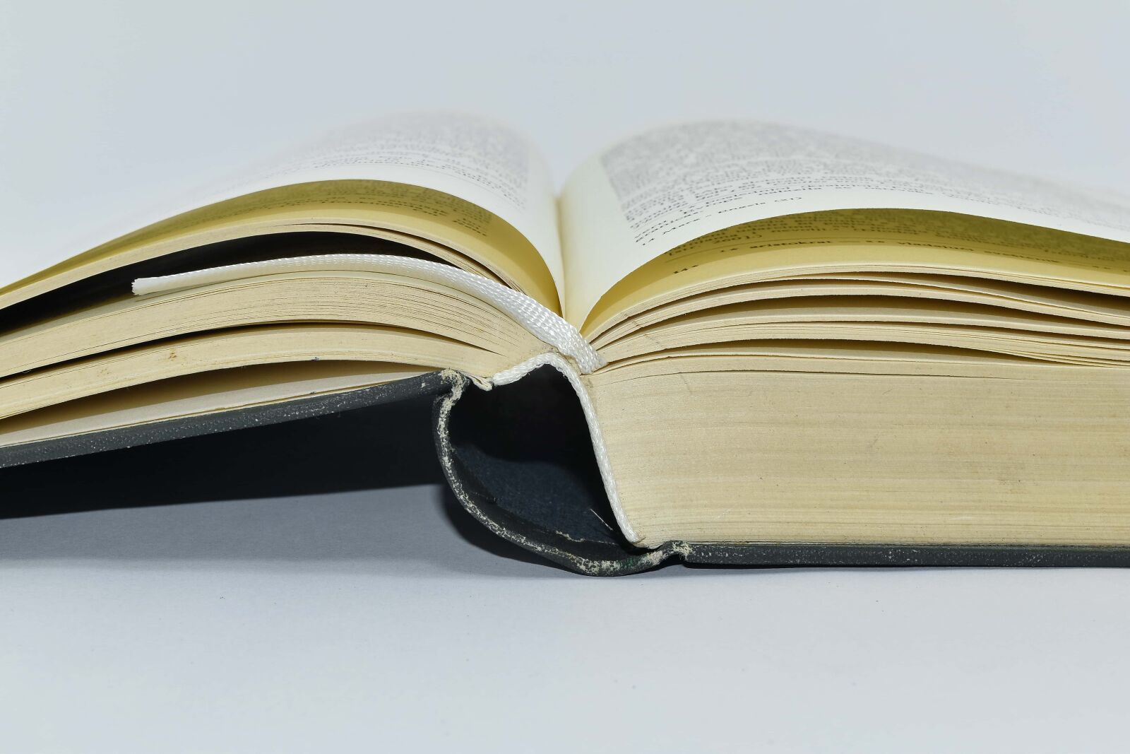 Nikon D5500 sample photo. Book, wisdom, library, literature photography