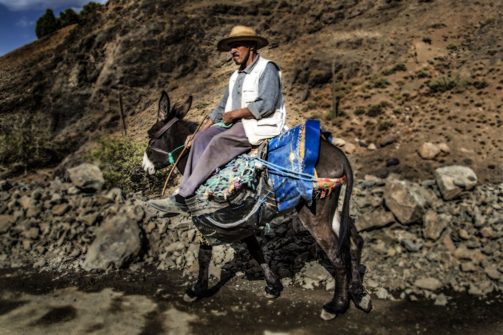 Canon EF 24-105mm F4L IS USM sample photo. Donkey, morocco, desert photography