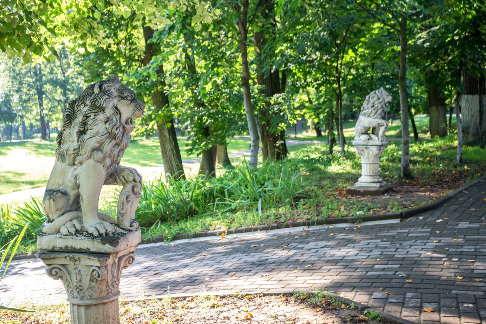 Canon EOS 100D (EOS Rebel SL1 / EOS Kiss X7) sample photo. Belkino, russia, obninsk photography