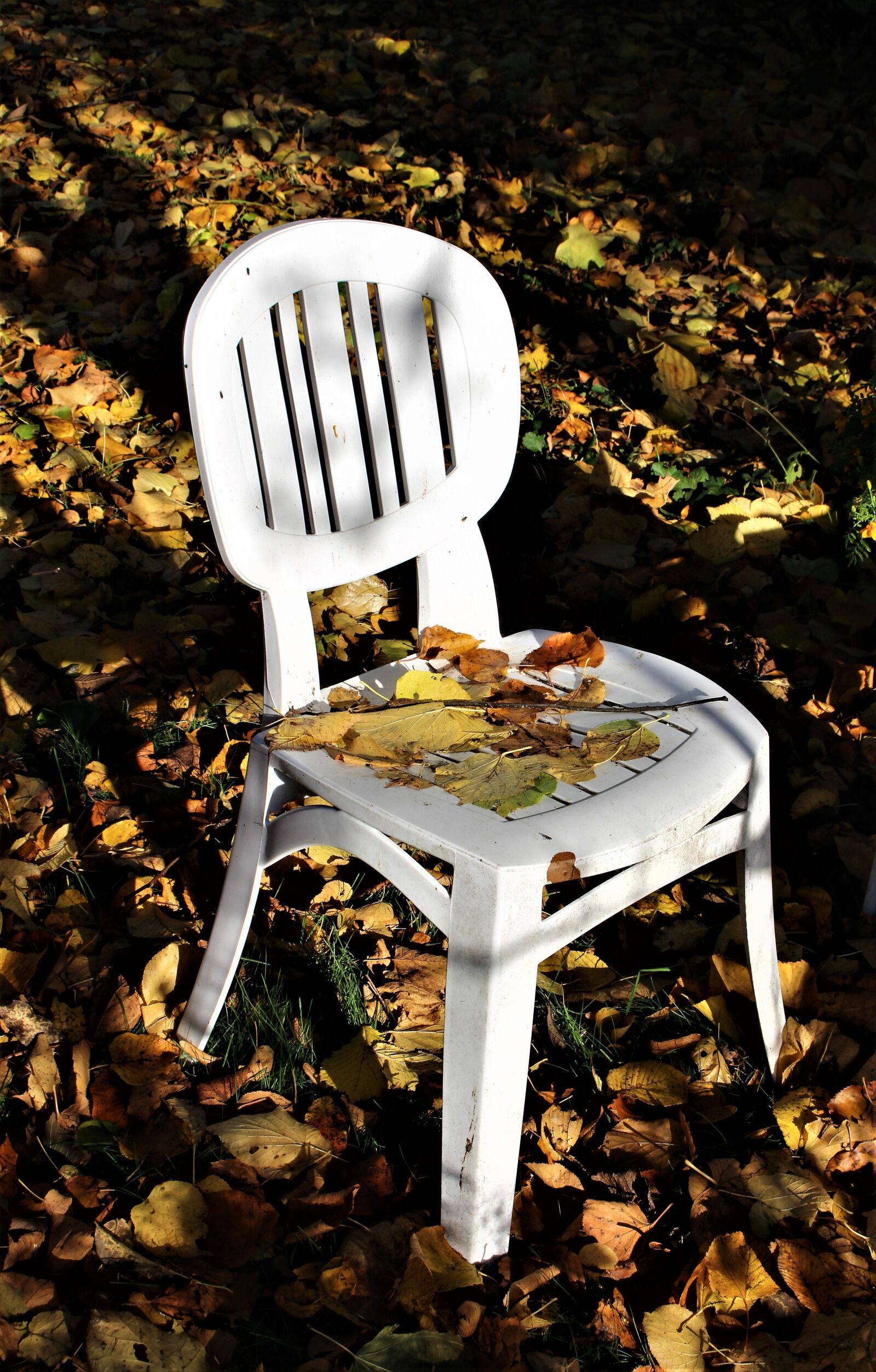 Canon EOS 700D (EOS Rebel T5i / EOS Kiss X7i) sample photo. Autumn, garden, chair photography