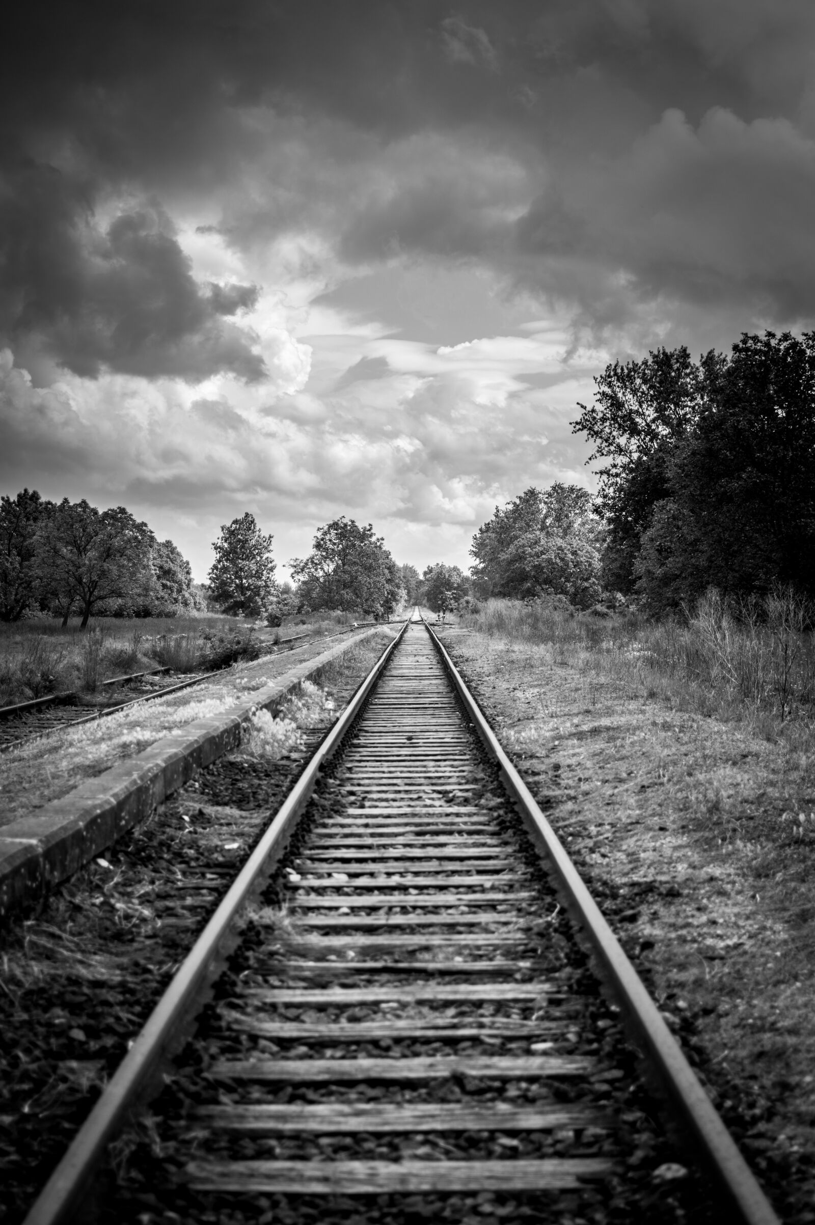 Nikon D3200 sample photo. Rail, old, abandoned photography