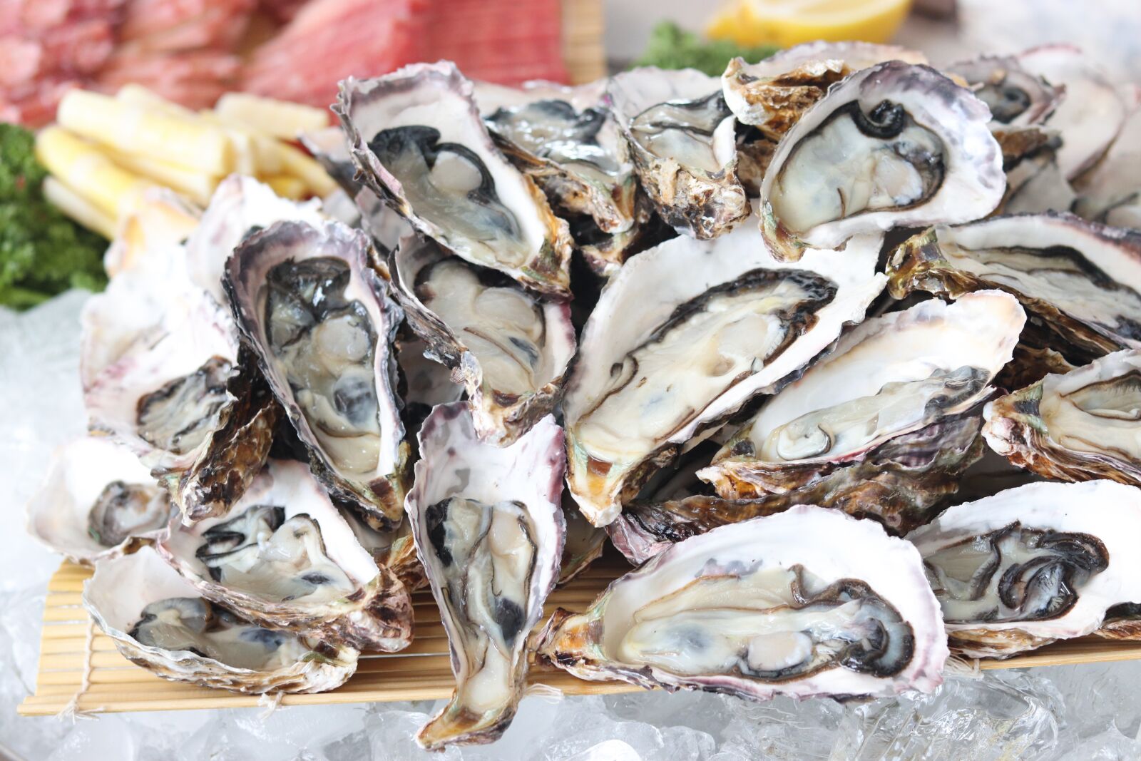 Canon EOS 200D (EOS Rebel SL2 / EOS Kiss X9) + Canon EF 50mm F1.8 STM sample photo. Petrified, oyster, delicious photography