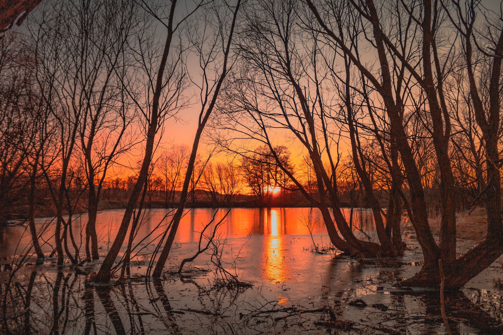 Canon EOS 750D (EOS Rebel T6i / EOS Kiss X8i) sample photo. Pond, lake, evening photography