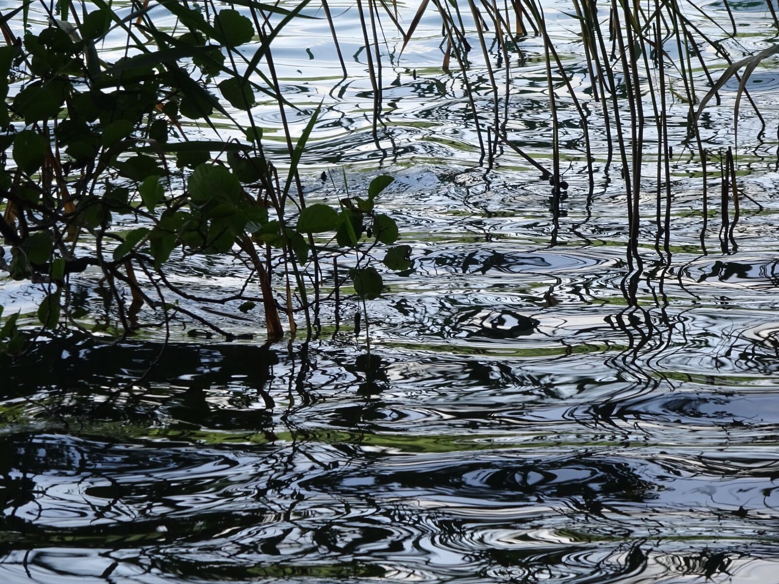 Sony Cyber-shot DSC-WX350 sample photo. Lake, bank, wave photography
