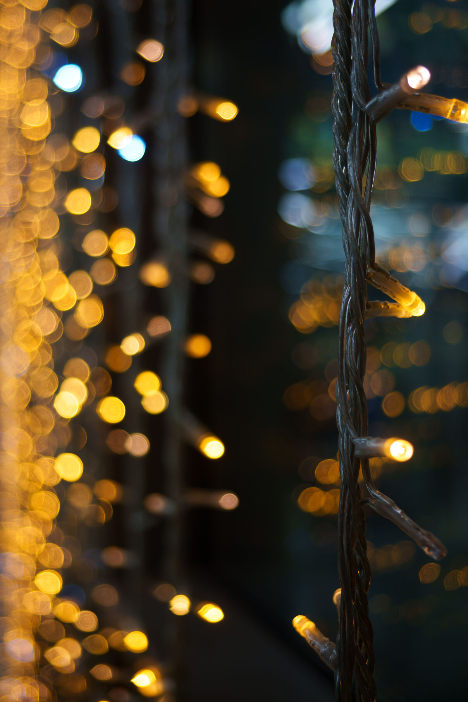 Sony a7R V sample photo. Christmas decoration photography