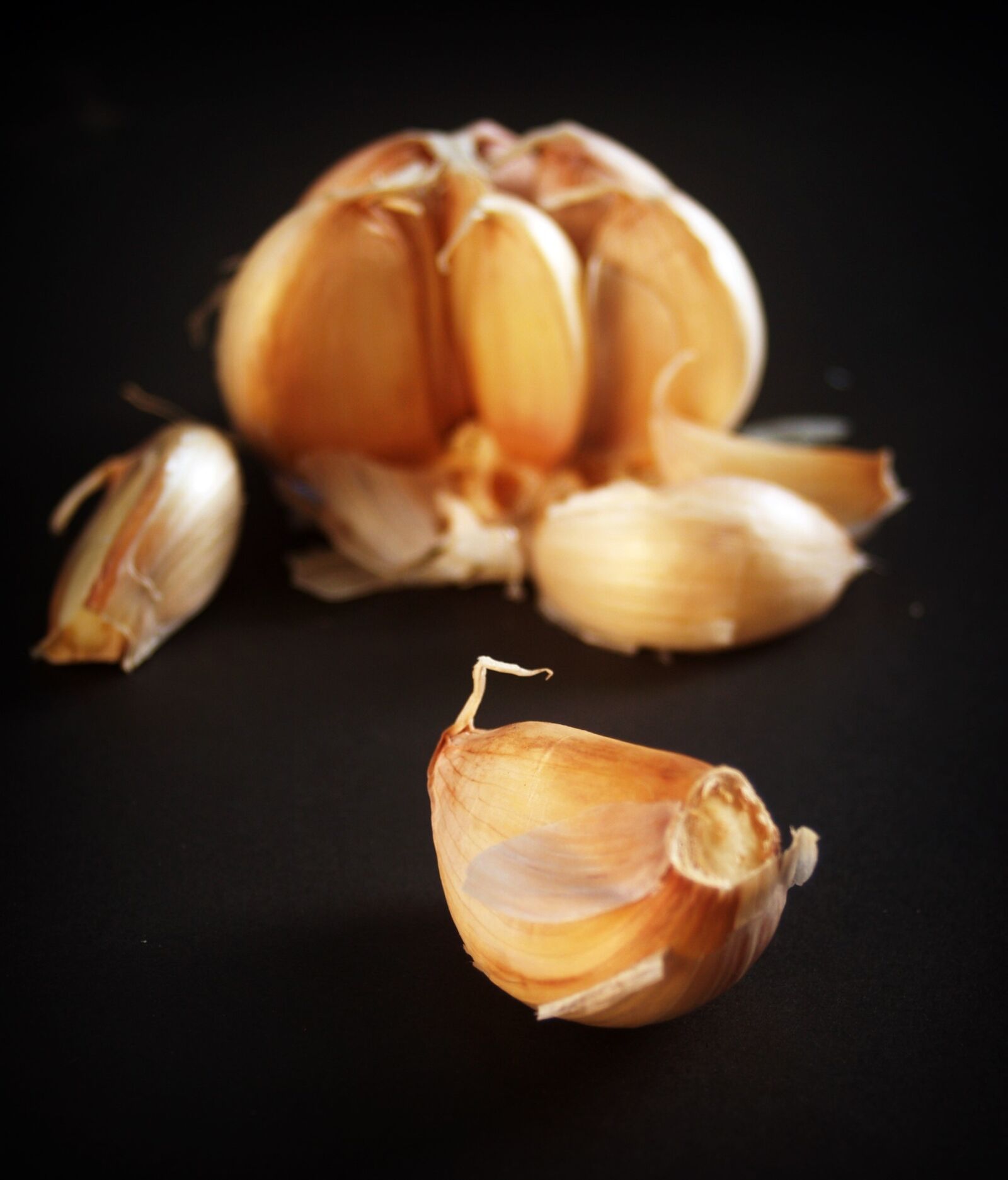 Olympus E-300 (EVOLT E-300) sample photo. Garlic, meals, white photography