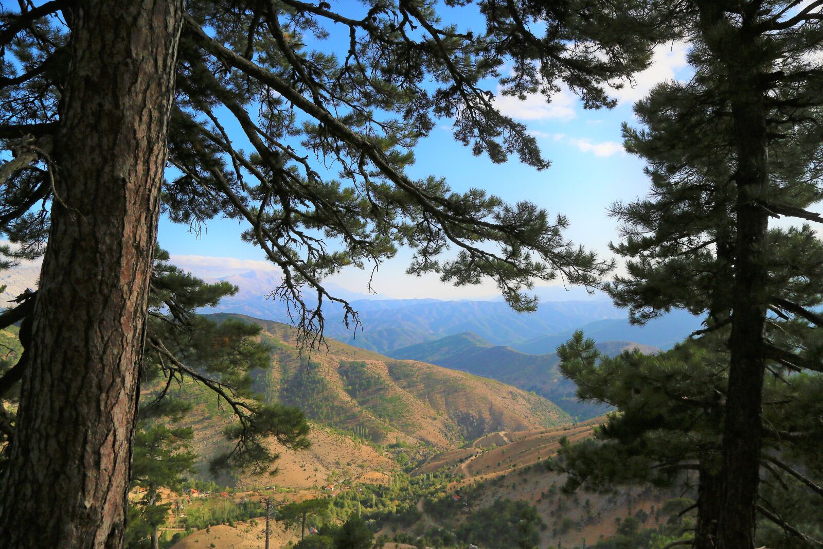 Canon EF 24-105mm F4L IS USM sample photo. Trees, mountains, forest photography