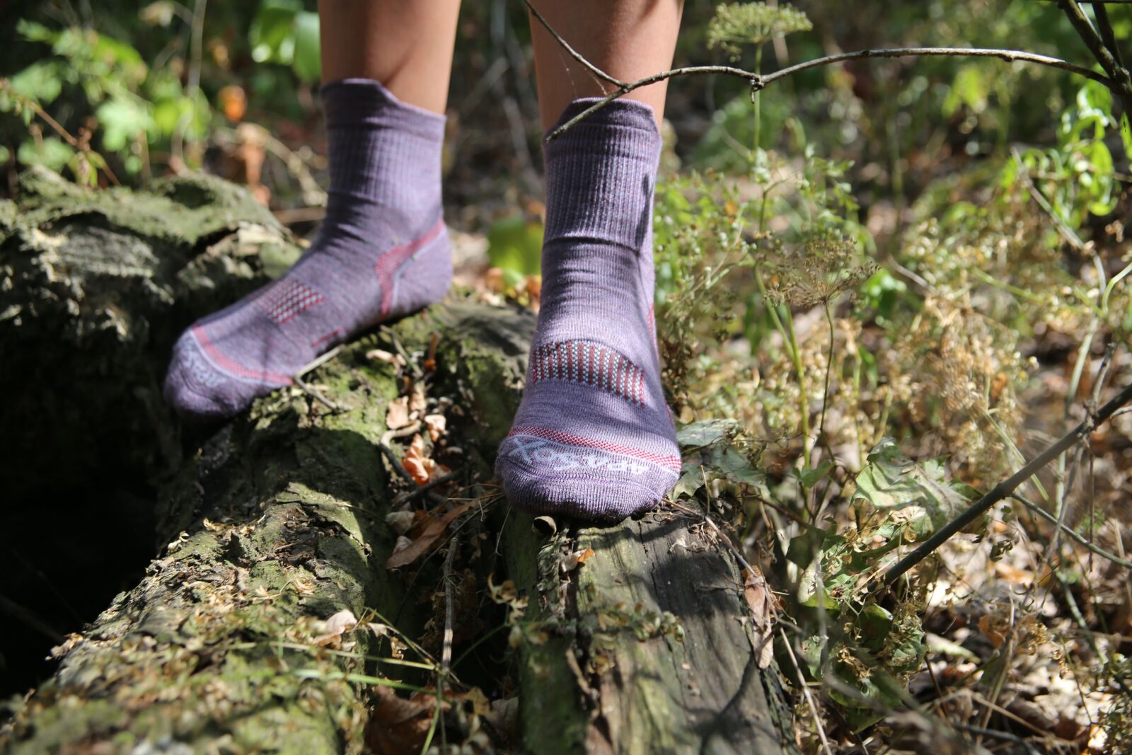 Canon EF 28-105mm f/3.5-4.5 USM sample photo. Socks, nature, forest photography