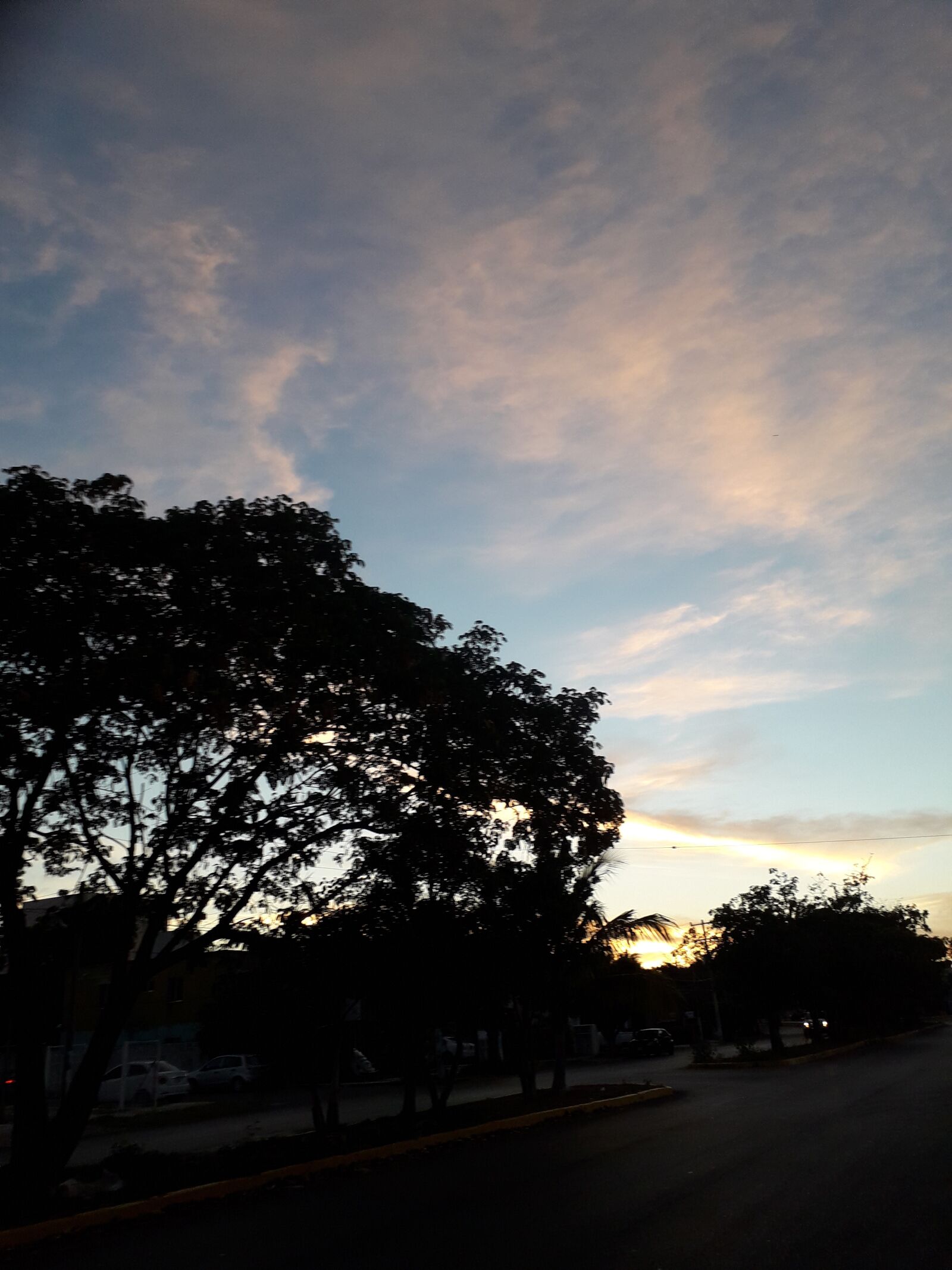 Samsung Galaxy J6 sample photo. Arbol, calle, cielo photography