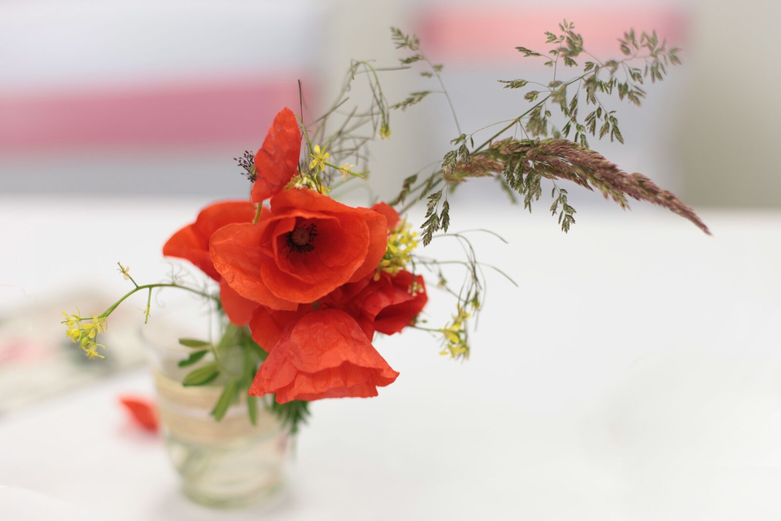 Canon EOS 5D Mark II sample photo. Poppy, flower, wedding photography