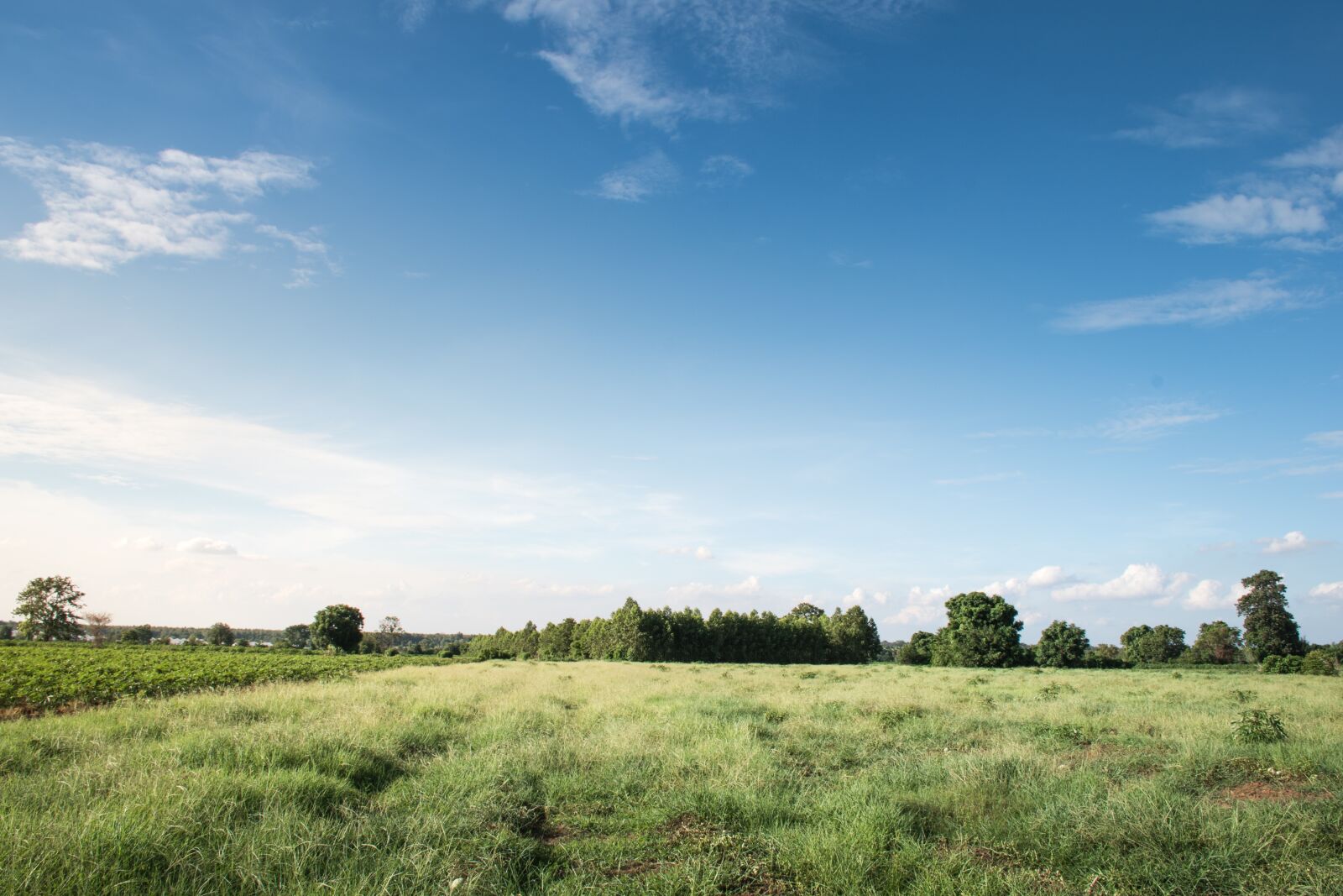 Nikon D5500 sample photo. Sky, sky blue after photography