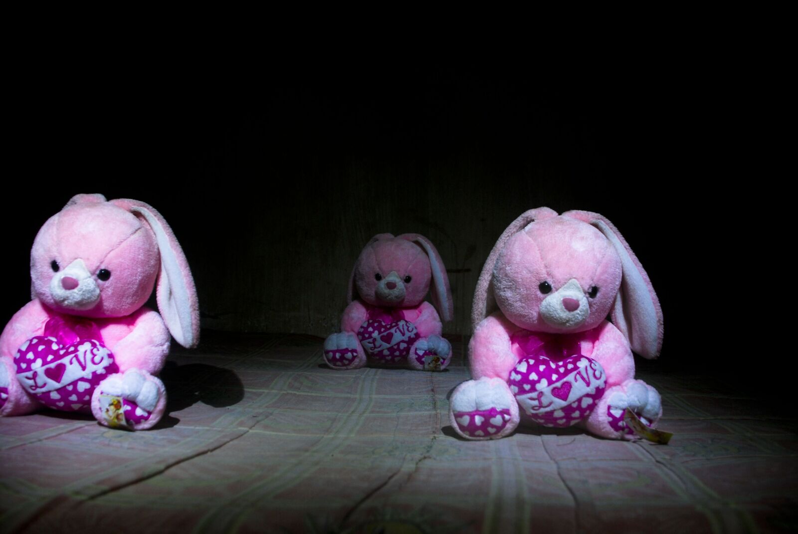 Nikon D80 sample photo. Toy, cute, child photography