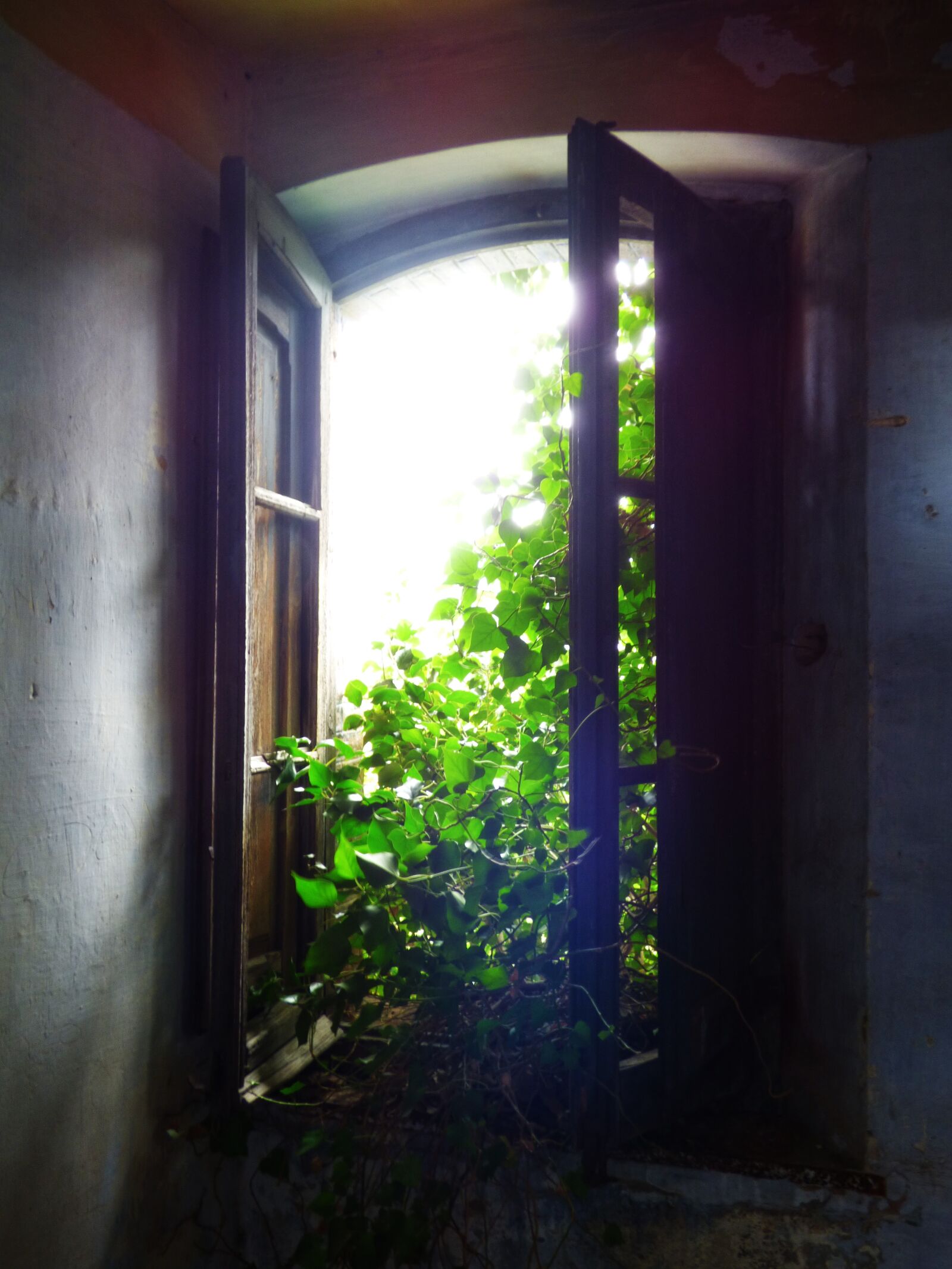 Panasonic Lumix DMC-FZ70 sample photo. Window, old, abandoned photography
