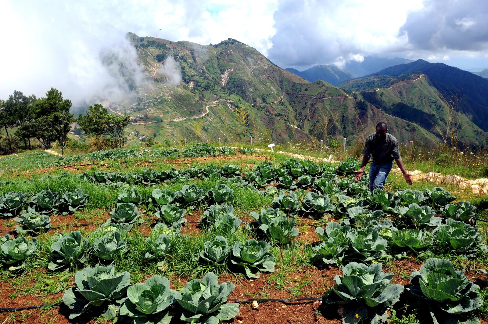 Nikon D300 sample photo. Farmers, agricultural, training, program photography