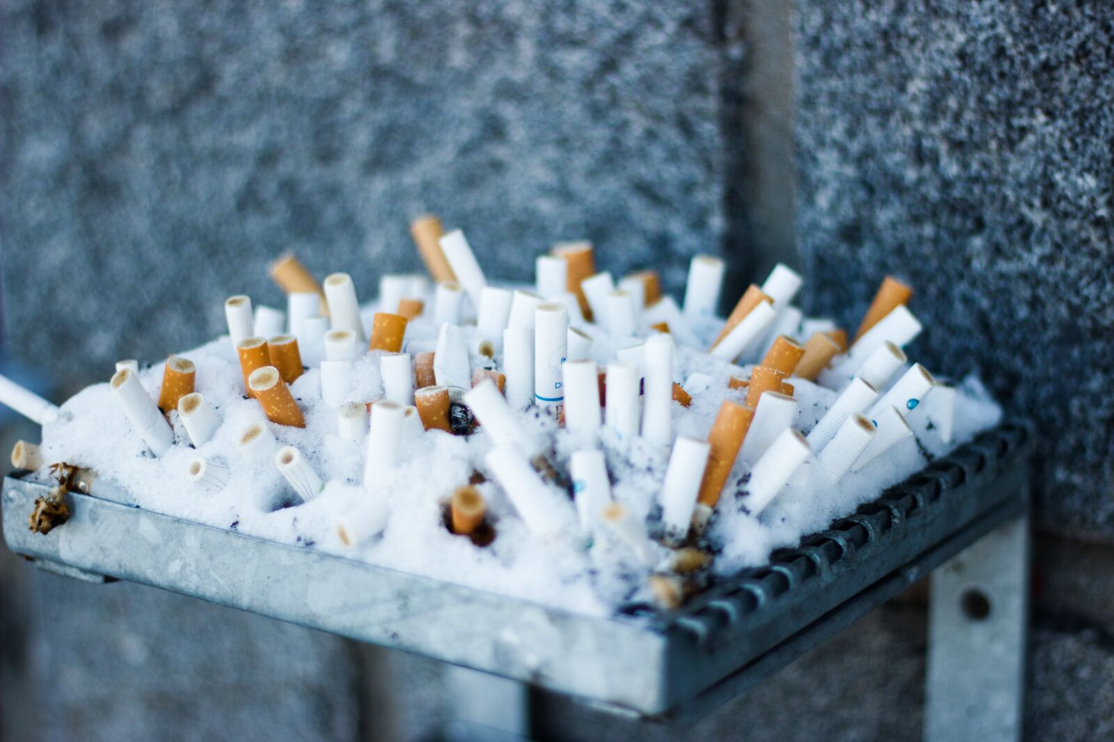 Canon EOS 600D (Rebel EOS T3i / EOS Kiss X5) + Canon EF 50mm F1.8 STM sample photo. Cigarette, butts photography