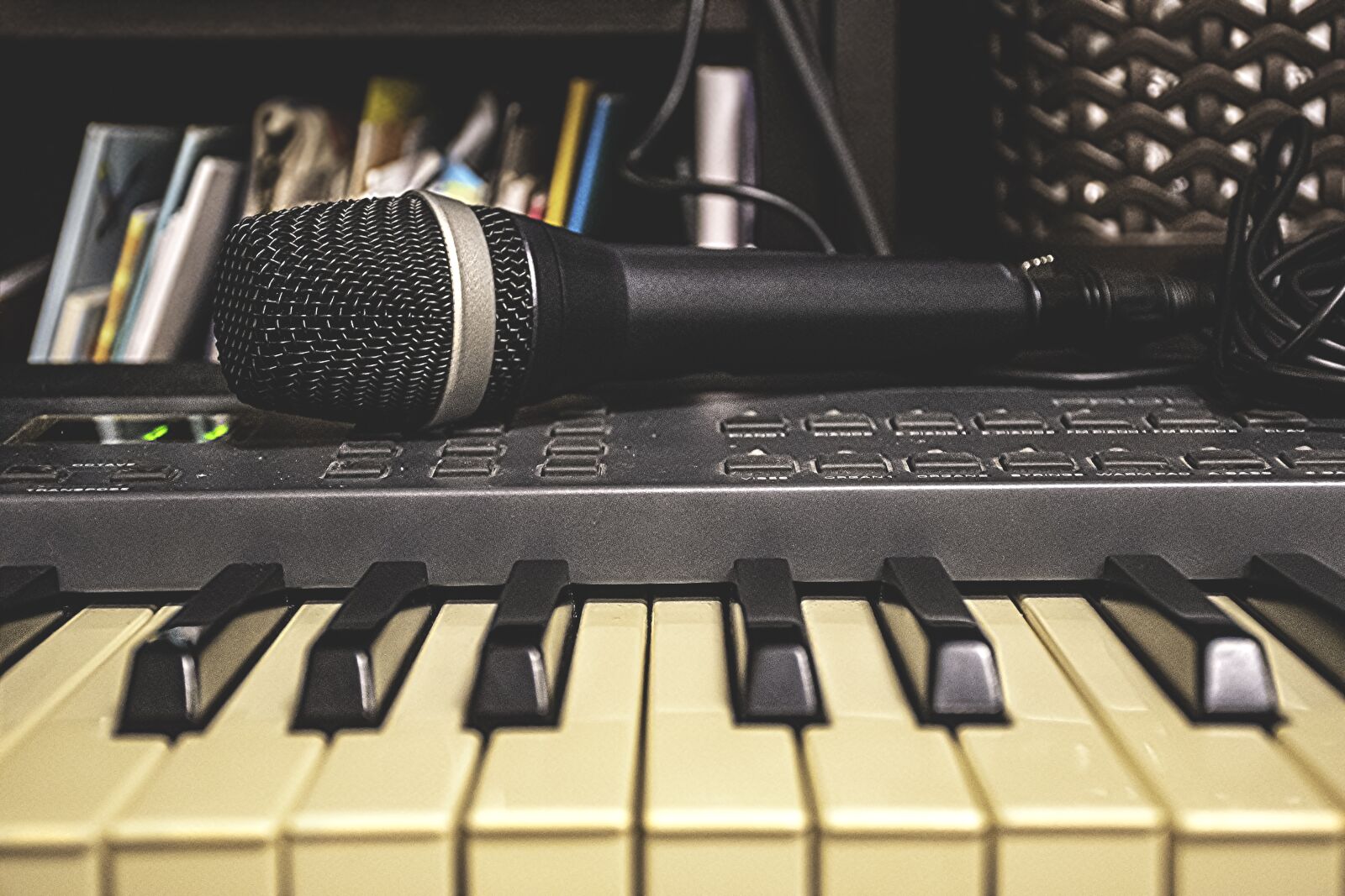 Nikon D5600 sample photo. Microphone, piano, music photography
