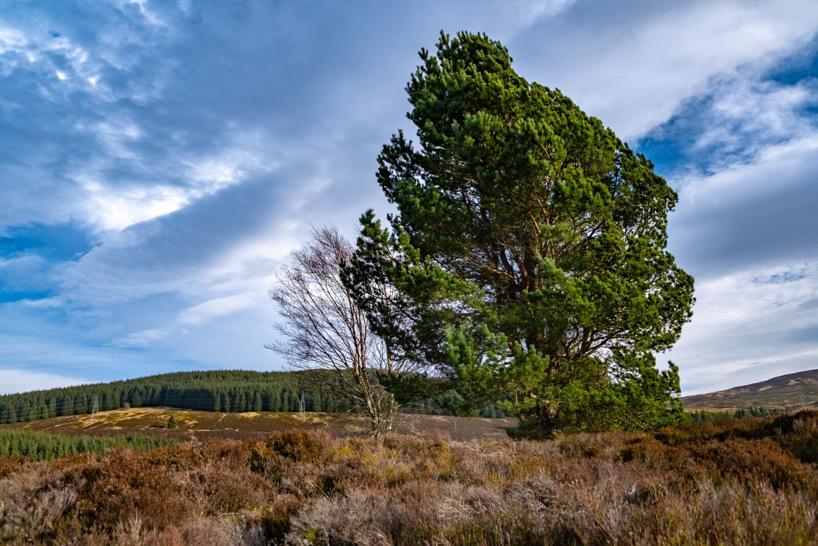 Fujifilm X-T3 sample photo. Scotland, uk, britain photography
