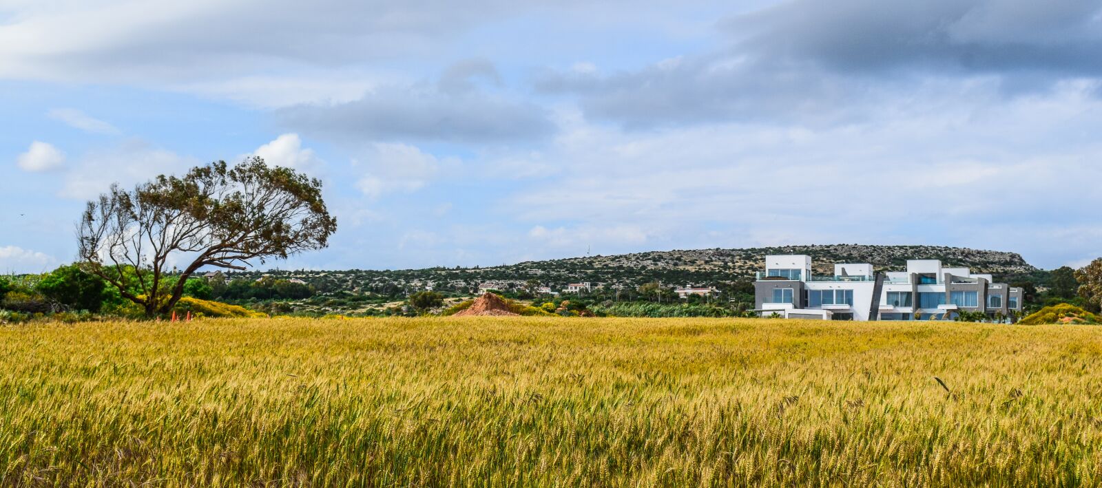 Nikon D3300 sample photo. Field, meadow, sky photography