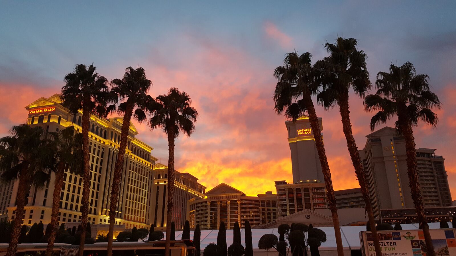 Samsung Galaxy Note5 sample photo. Lasvegas, sunset, palm photography