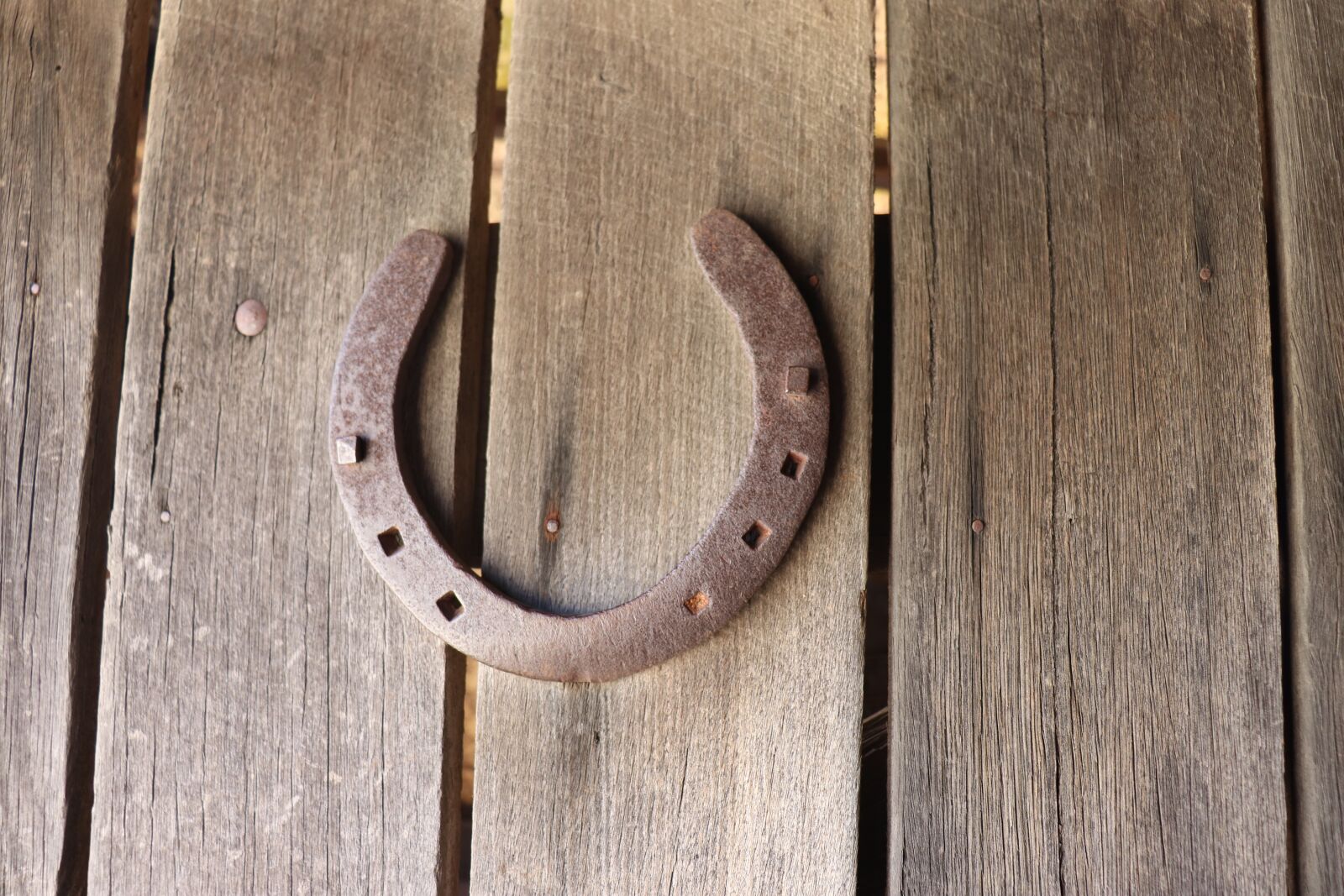 Canon EF-S 18-55mm F4-5.6 IS STM sample photo. Horse shoe, horse, magnetic photography