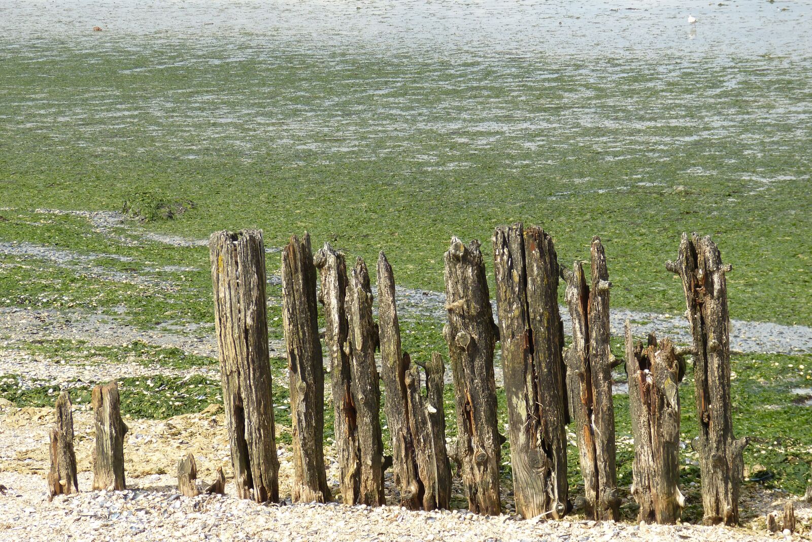 Panasonic Lumix DMC-FZ150 sample photo. Sea, netherlands, north sea photography