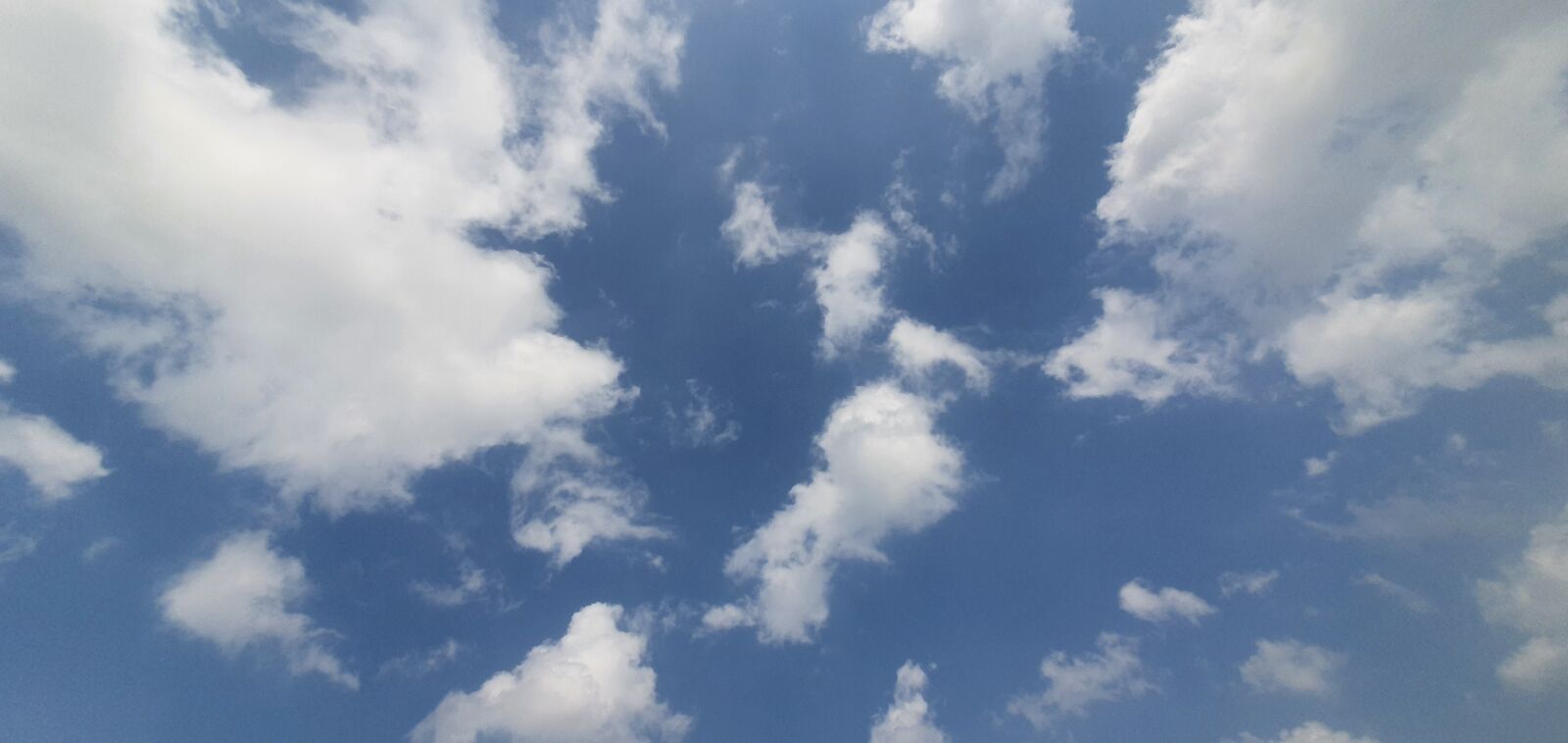 Samsung Galaxy S10 sample photo. Nature, sky, blue sky photography