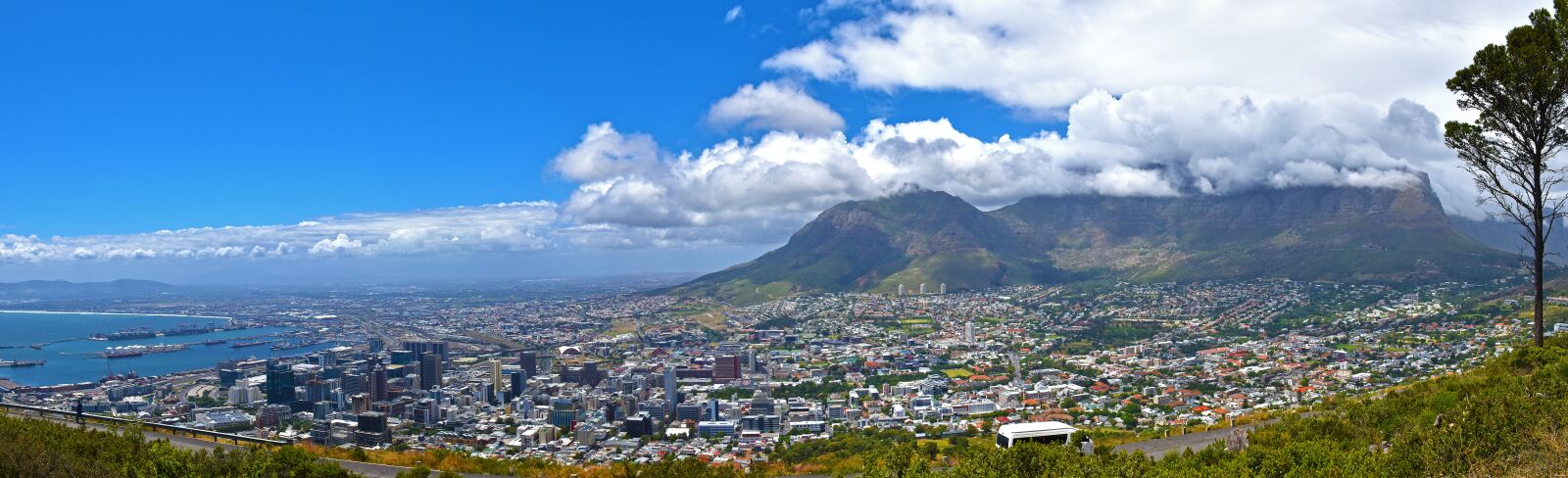 Nikon D5600 sample photo. Cape town, south africa photography