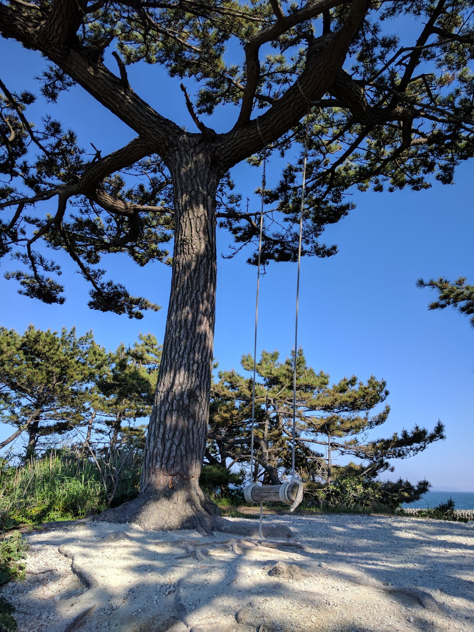Google Nexus 6P sample photo. Beach, swing, wood photography