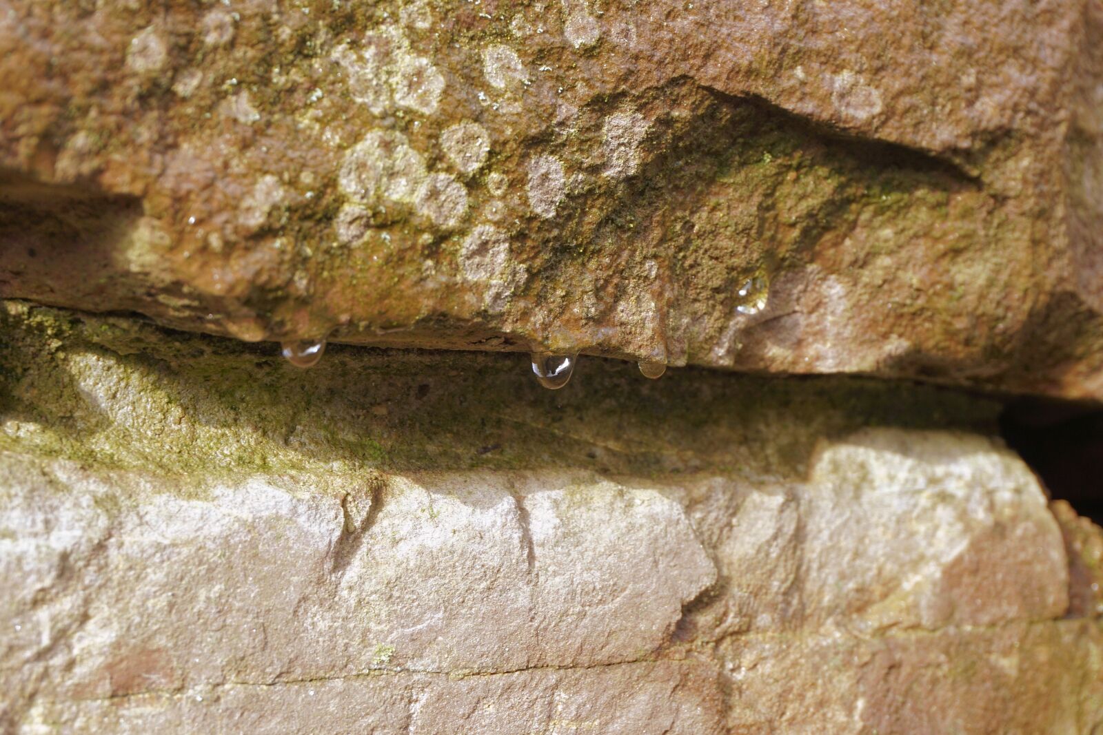 Sony a6000 sample photo. Stone, rock, drop of photography
